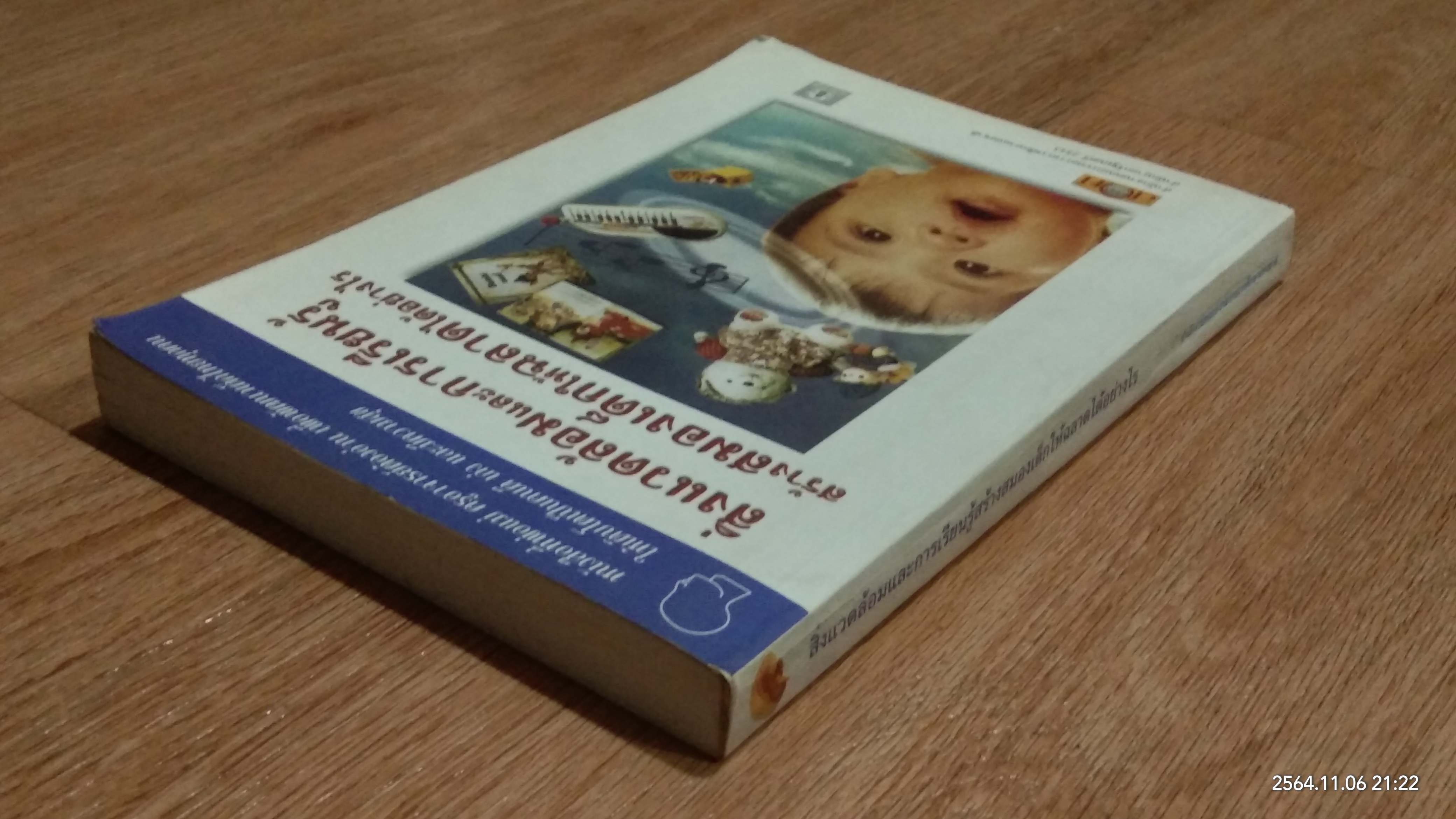 สิ่งแวดล้อมและการเรียนรู้สร้างสมองเด็กให้ฉลาดได้อย่างไร / รศ.พญ.ศันสนีย์ ฉัตรคุปต์