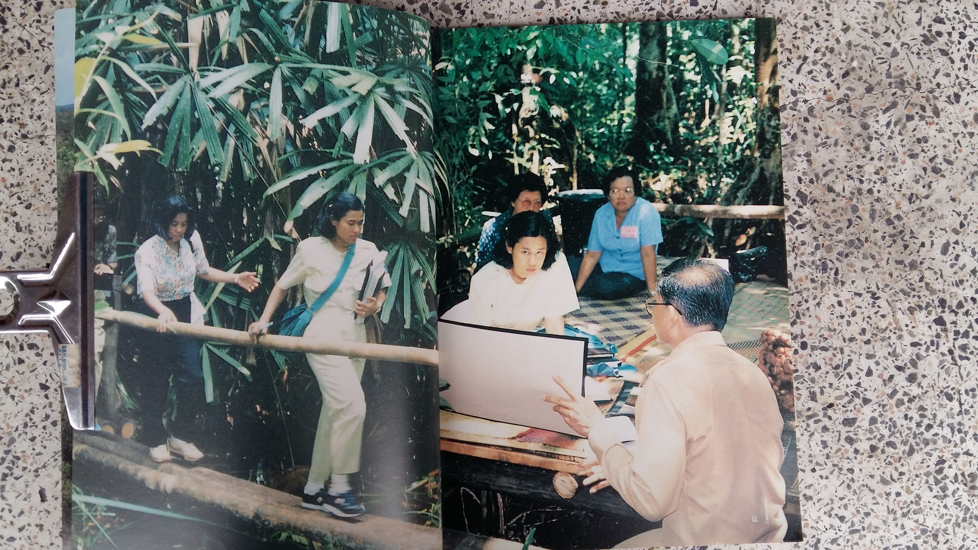 ป่าพรุโต๊ะแดง