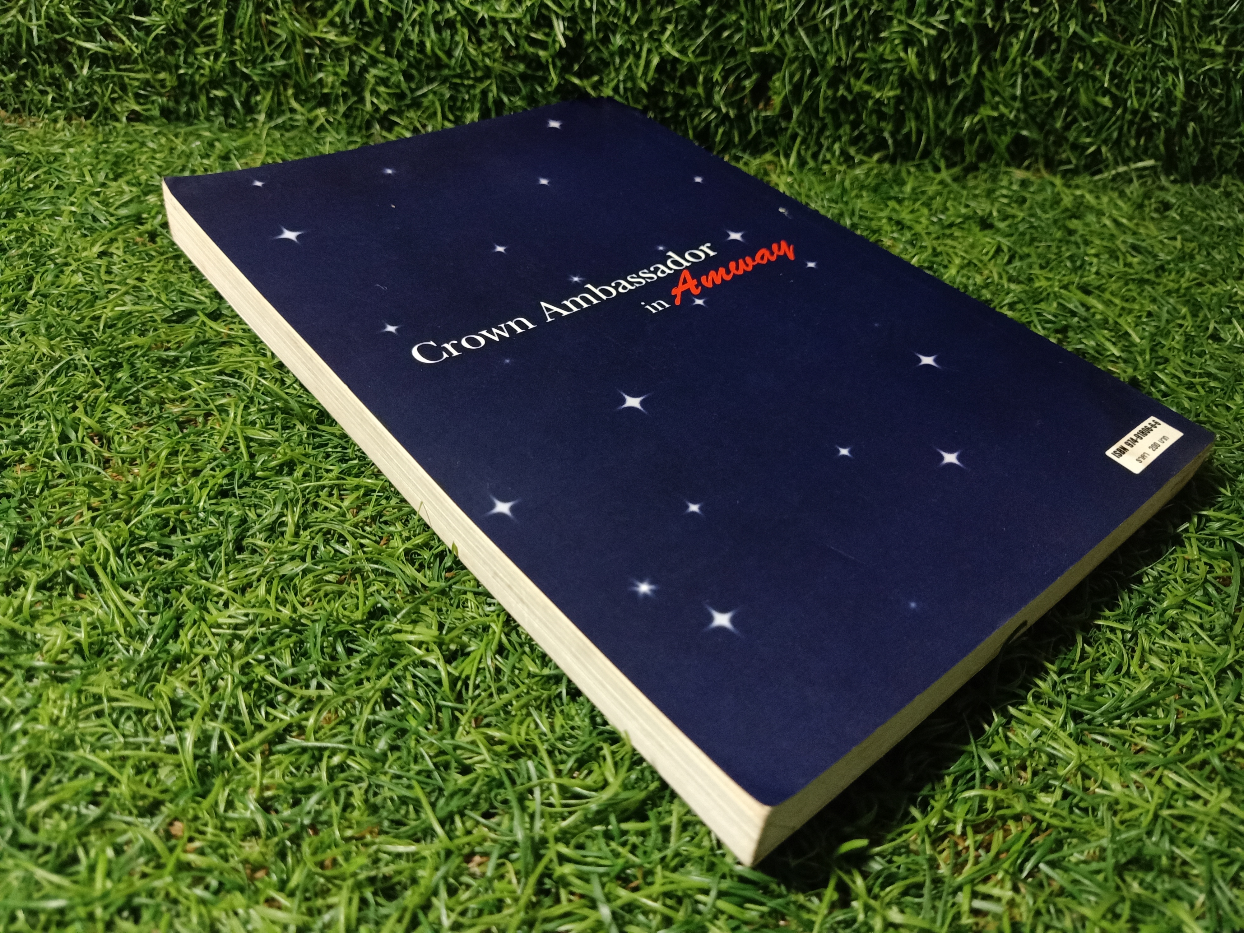 Crown Ambassador in Amway / สุทิน พงศาจารุ