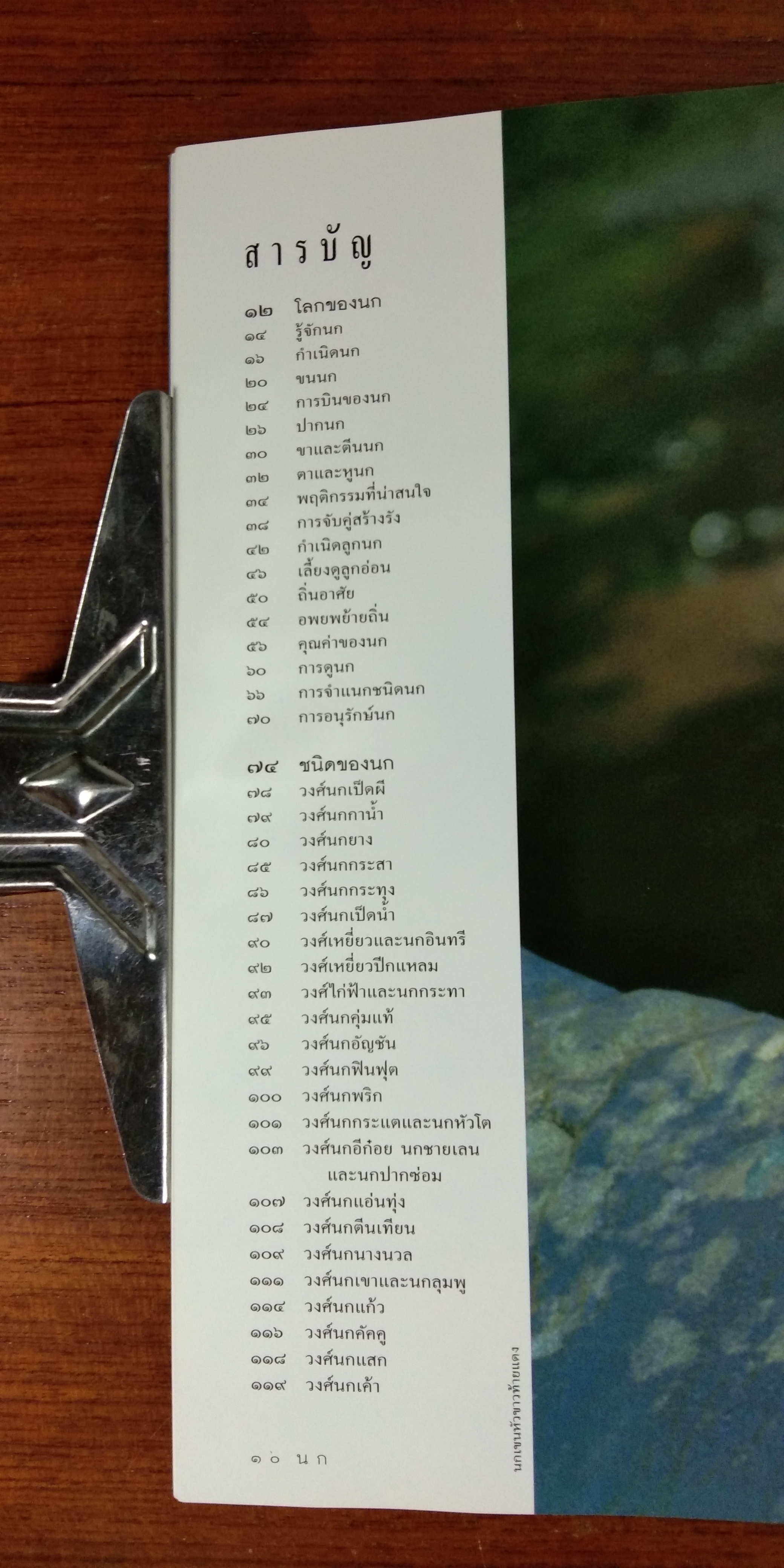 หนังสือชุดสังเกตธรรมชาติ นก / รุ่งโรจน์ จุกมงคล