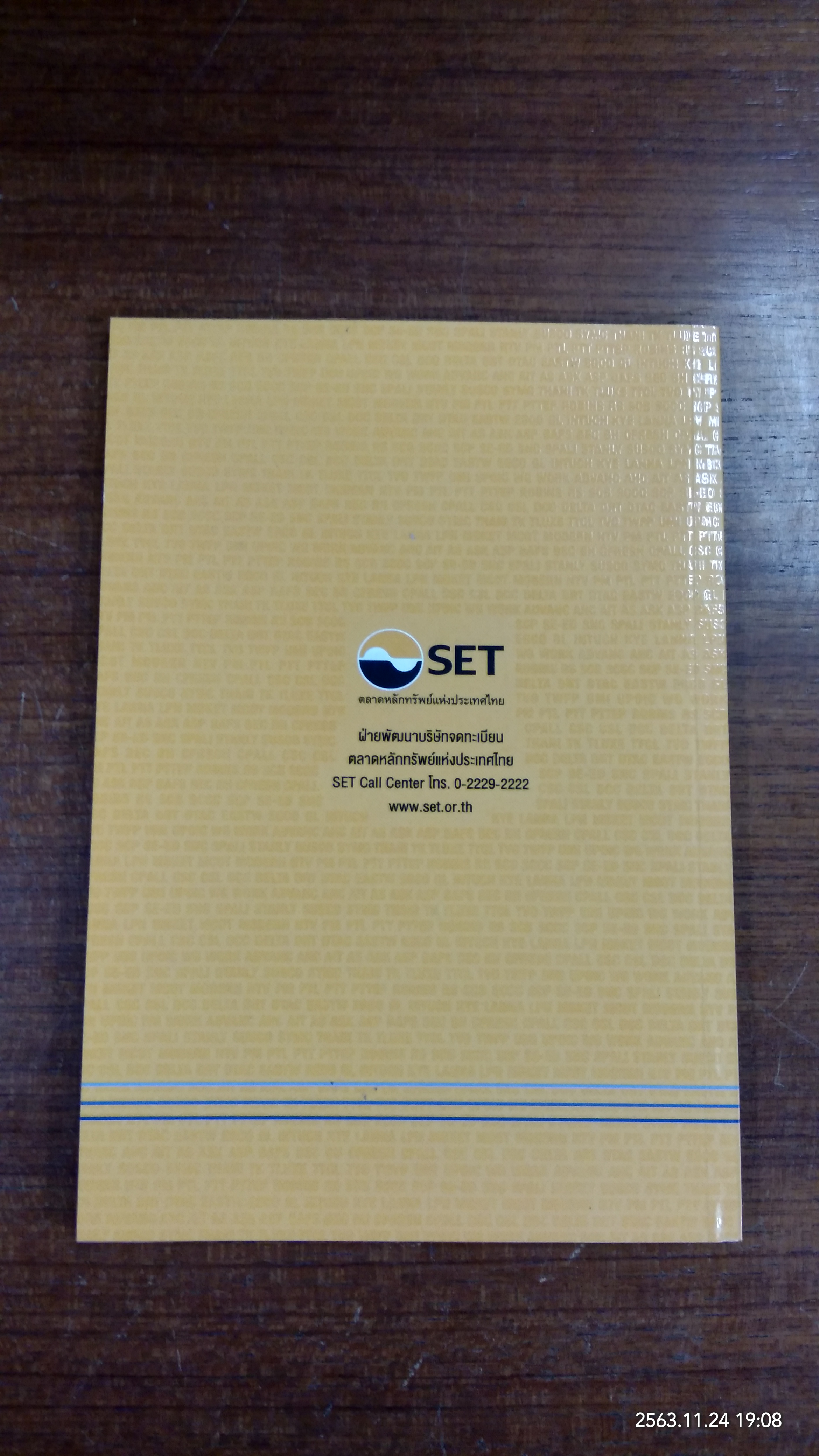 SEF Stock Focus 2013