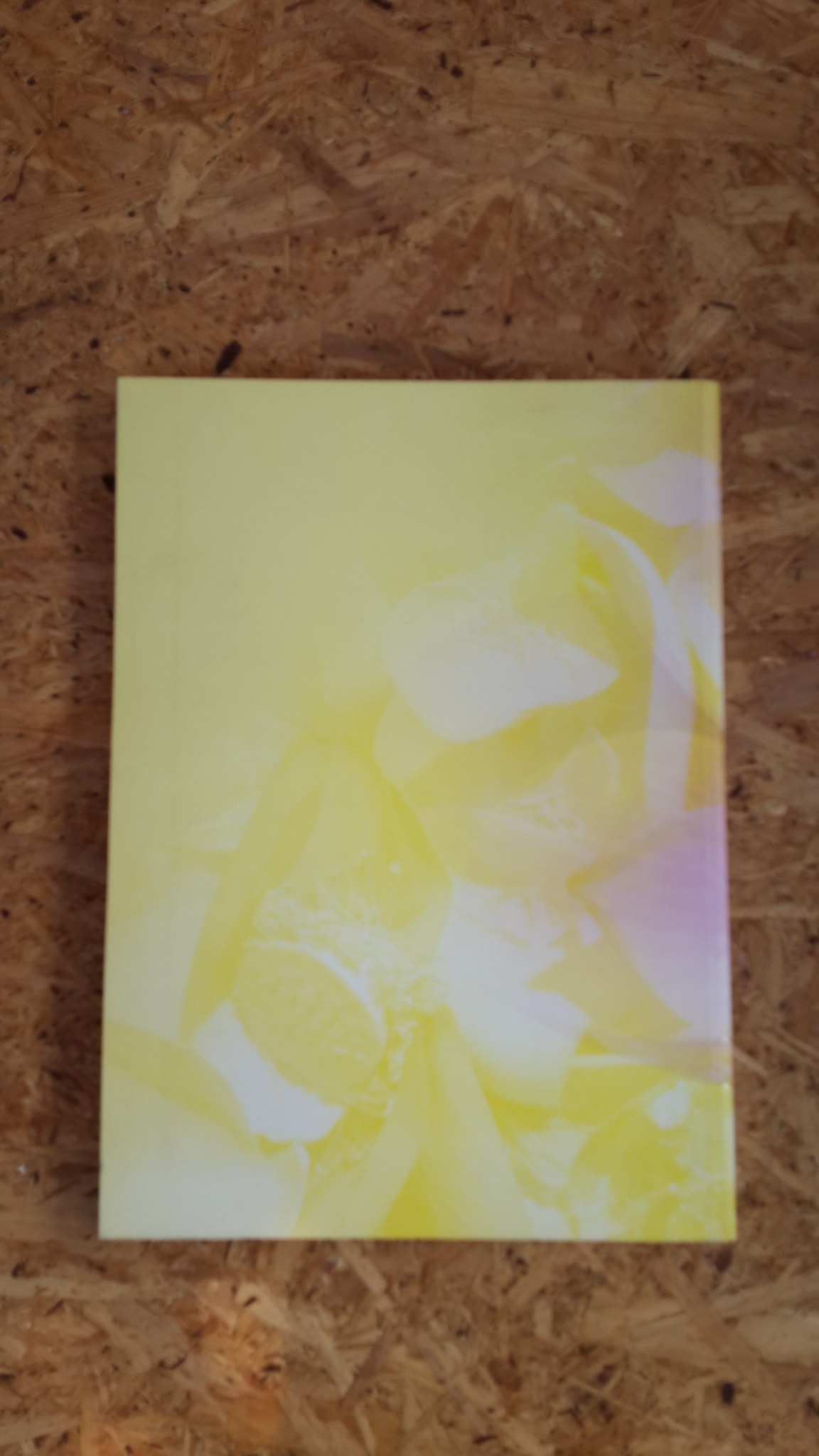 บุญแรงด้วยแรงบุญ : อนุสรณ์ในงานพระราชทานเพลิงศพ ท่านผู้หญิงตุ่น โกศัลวิตร