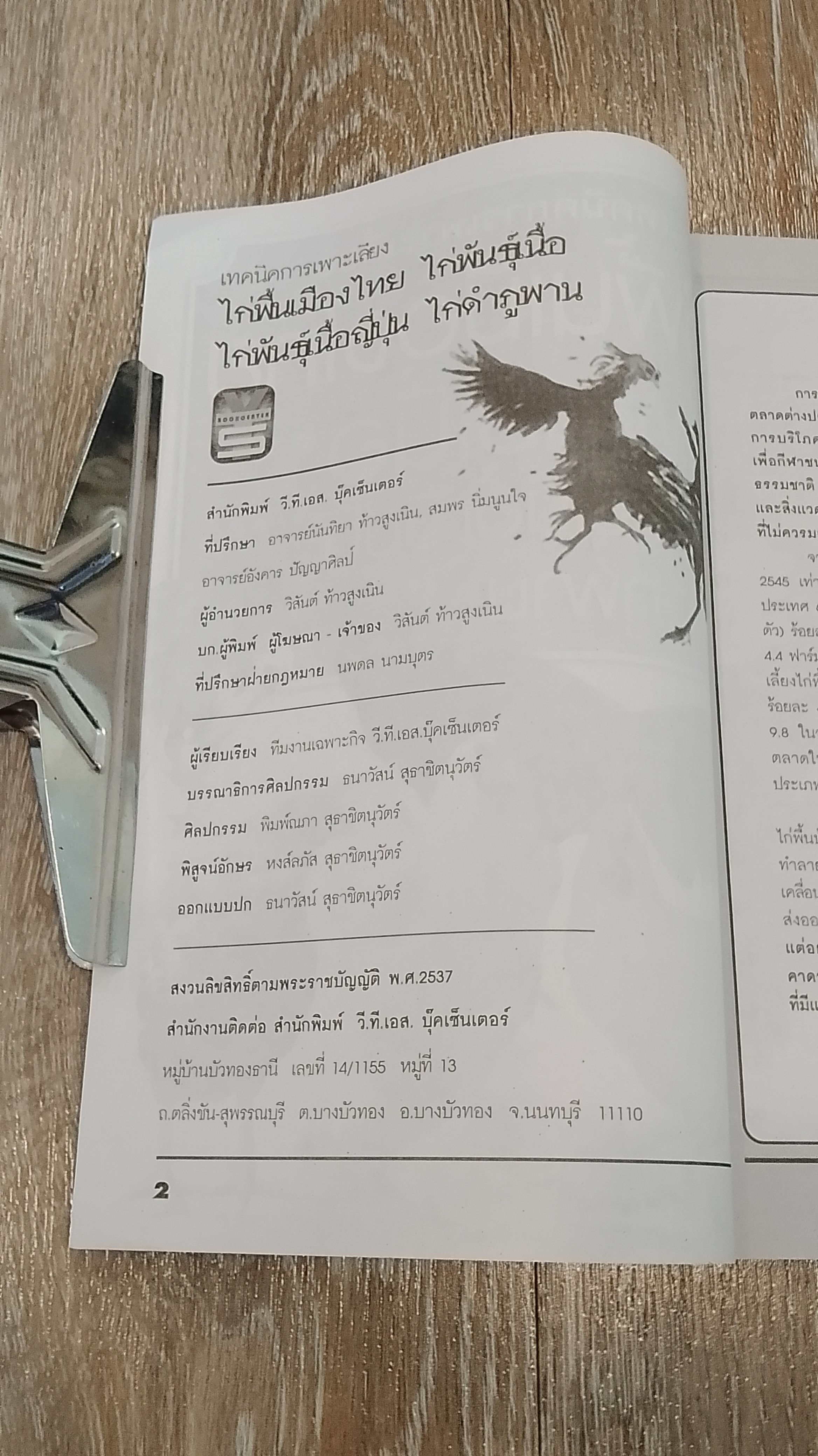 เทคนิคการเพาะเลี้ยง ไก่พื้นเมืองไทย ไก่พันธุ์เนื้อ ไก่พันธุ์เนื้อญี่ปุ่น