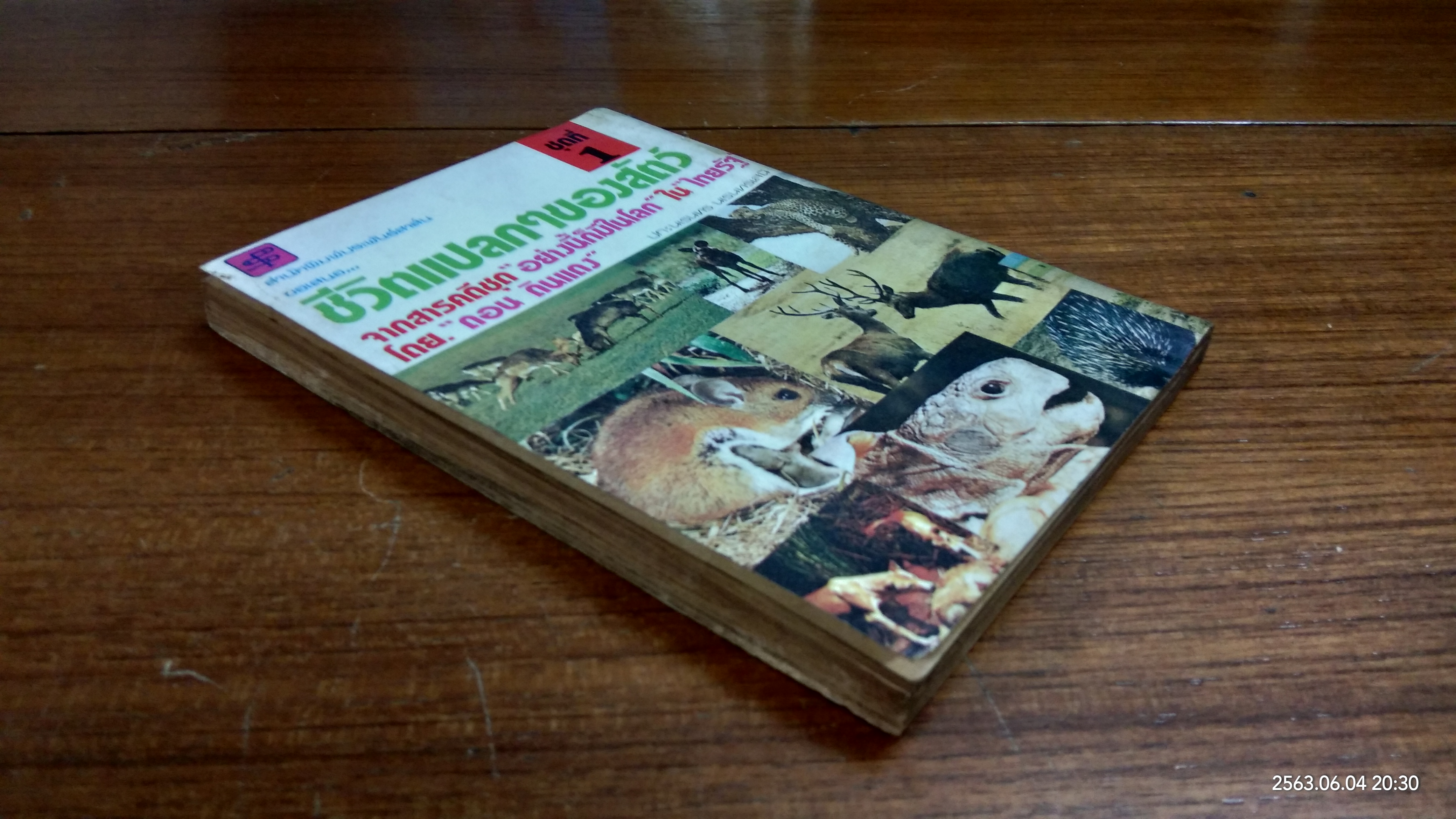 ชีวิตแปลกๆของ...สัตว์ (มีรอยโดนน้ำ) / ดอน ดินแดง