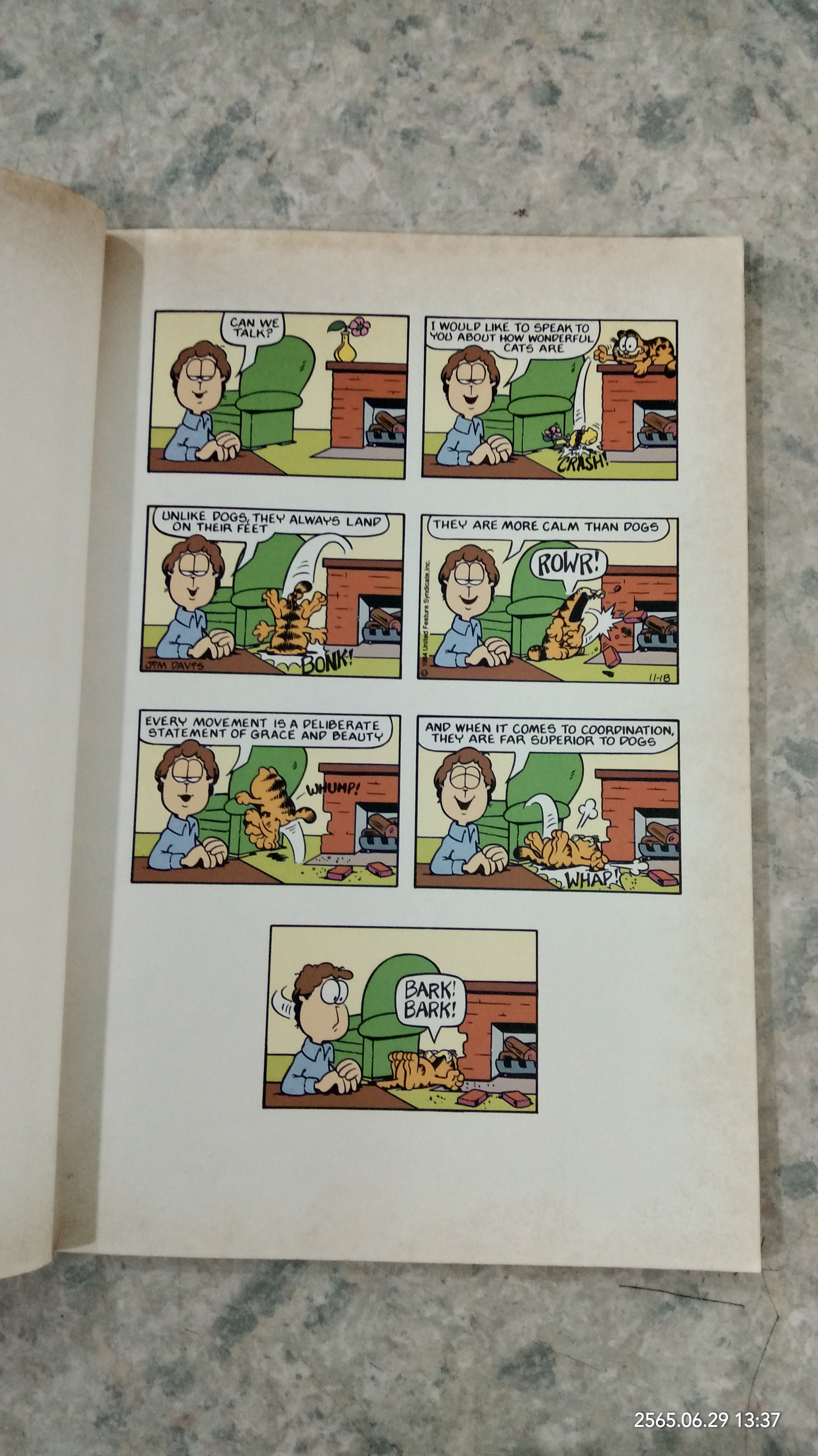 the Garfield Gallery 23/ JiM DAViS
