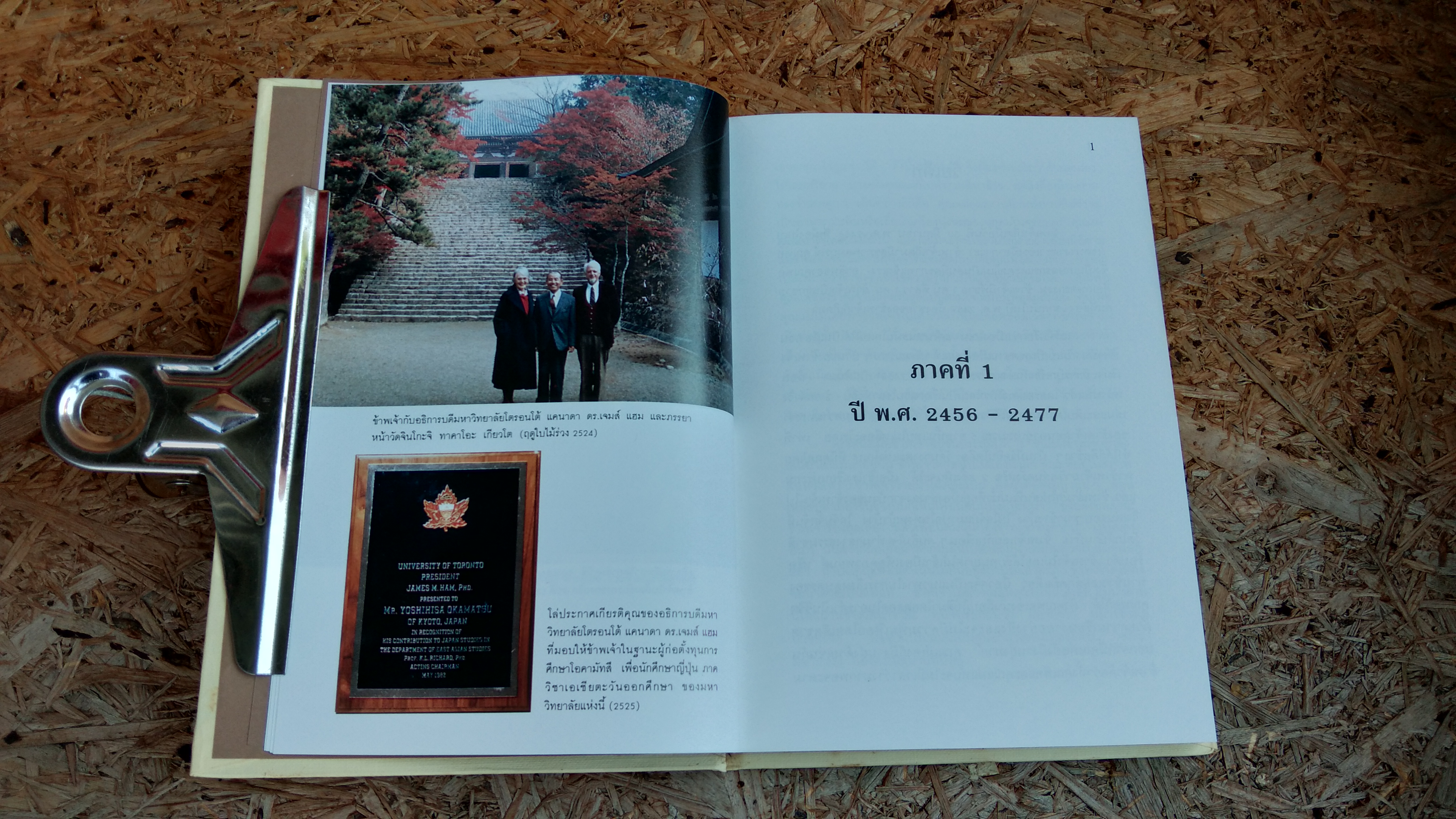 หว่านเมล็ดพันธุ์แห่งความเข้าใจ / โยชิฮิสะ โอคามัสสึ