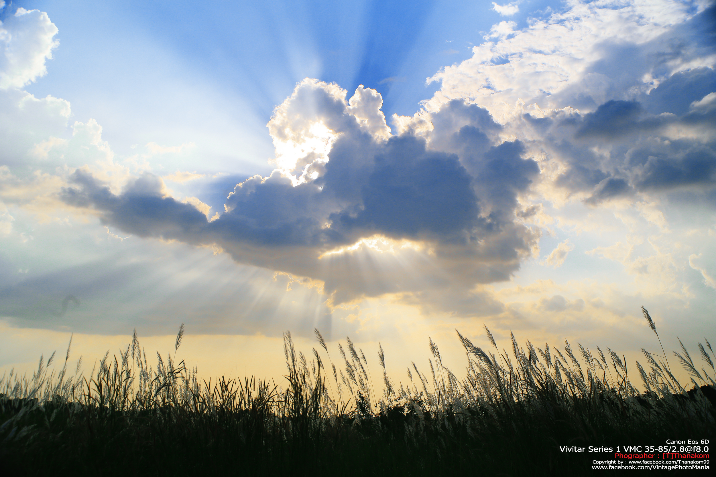 Vivitar Series-1 VMC 35-85/2.8 *FD Mount เลนส์ไวแสงที่หายากมากจากวิวิตา