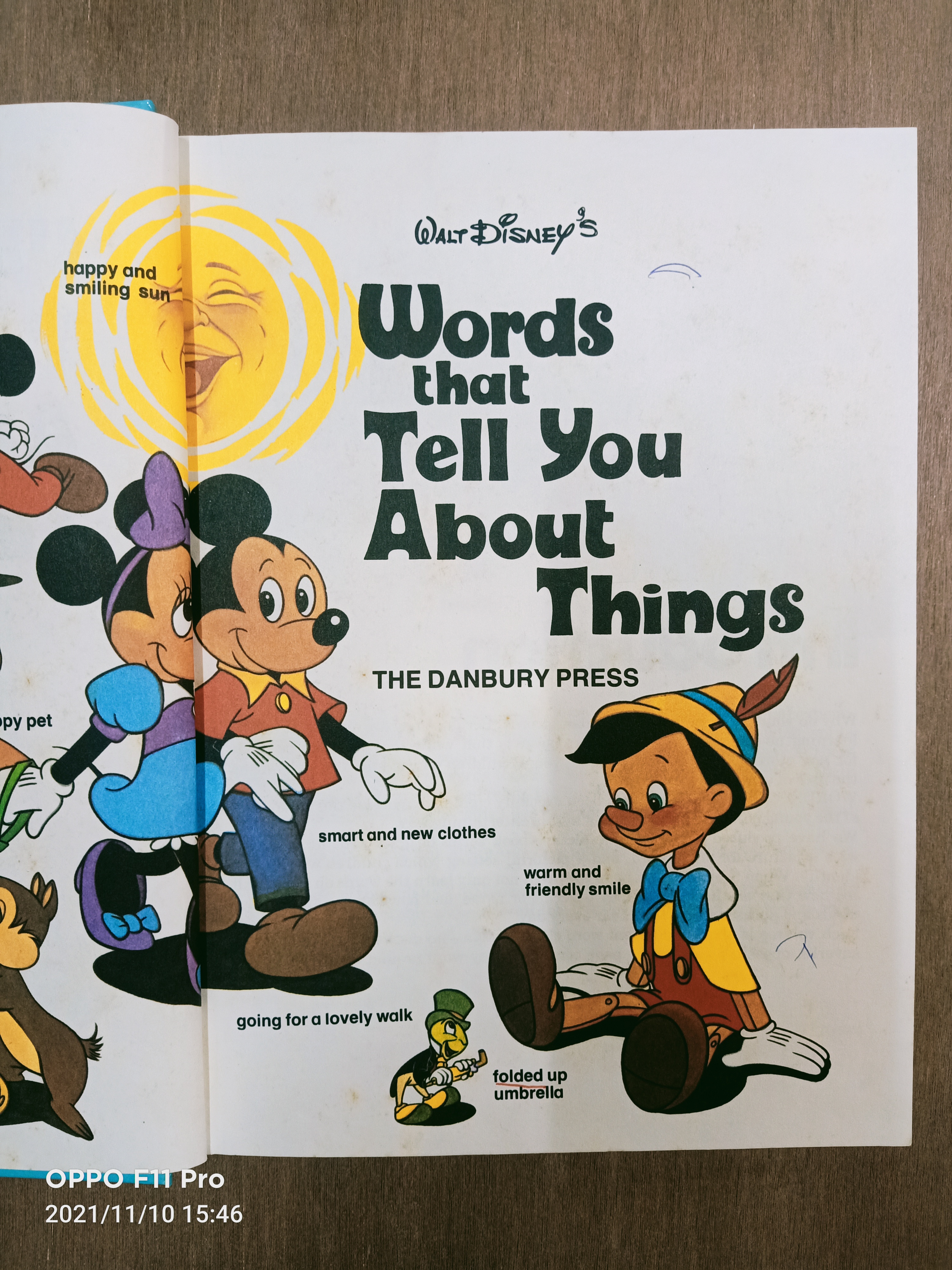 Words that Tell You About Things (หนังสือมีรอยเขียนตามรุปที่ถ่าย)