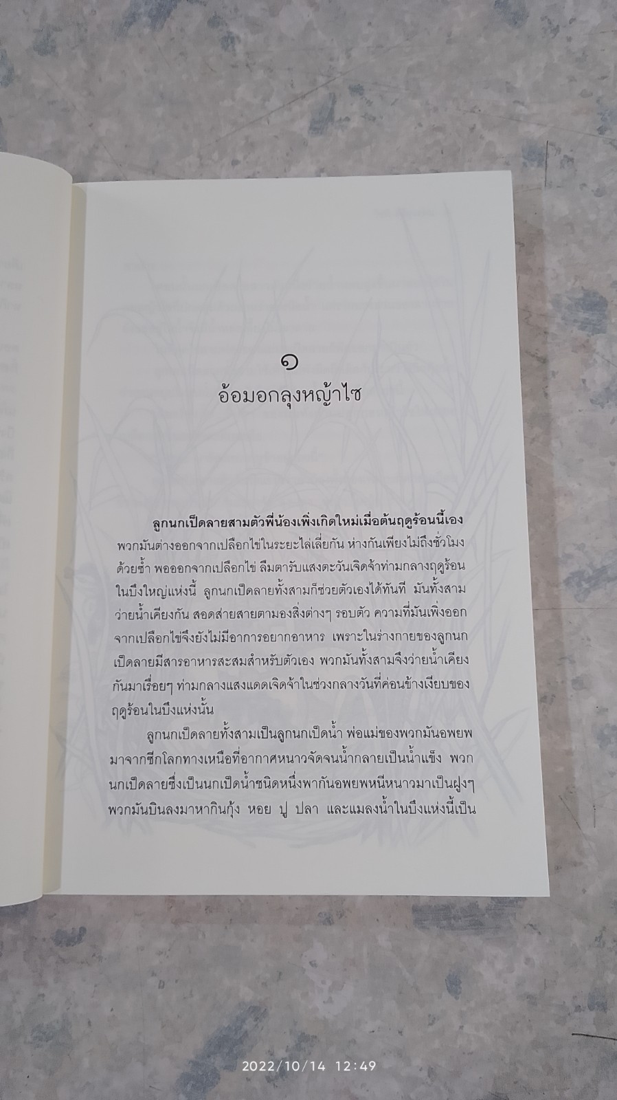 บึงน้ำแห้ง / โชติ ศรีสุวรรณ