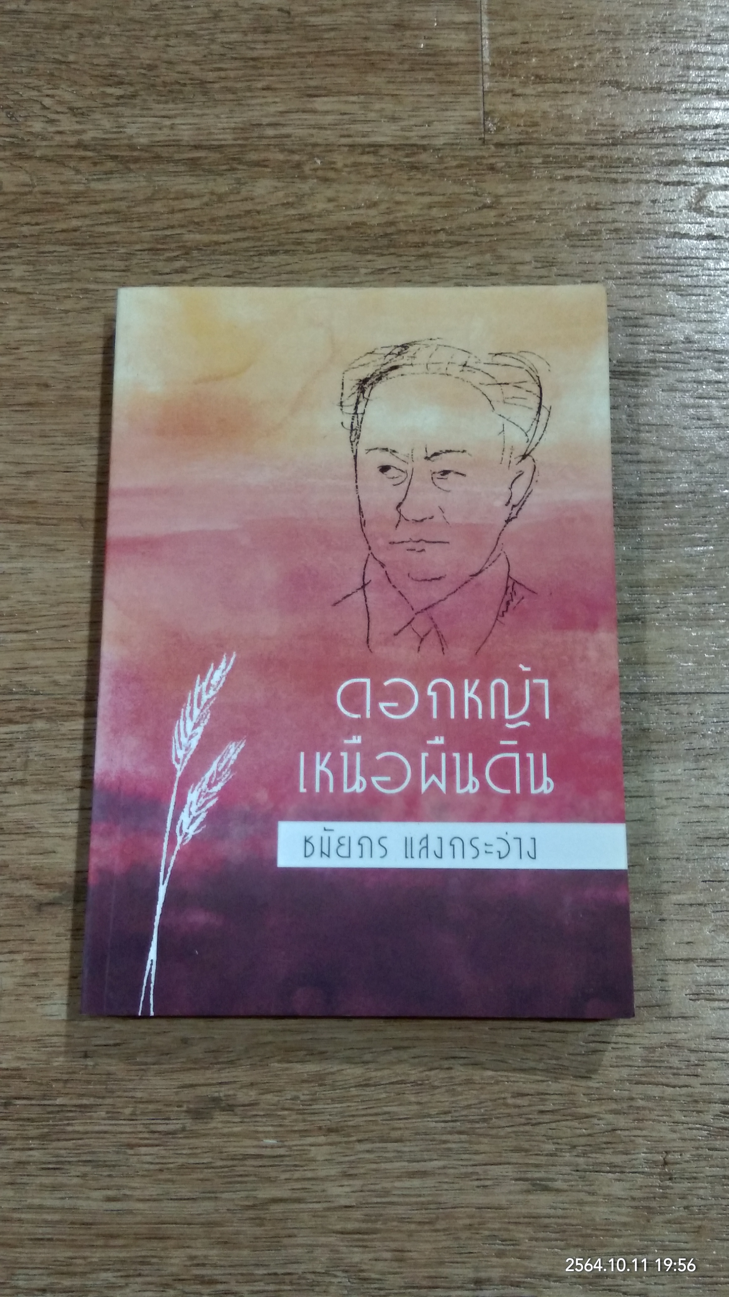 ดอกหญ้าเหนือผืนดิน / ชมัยภร แสงกระจ่าง