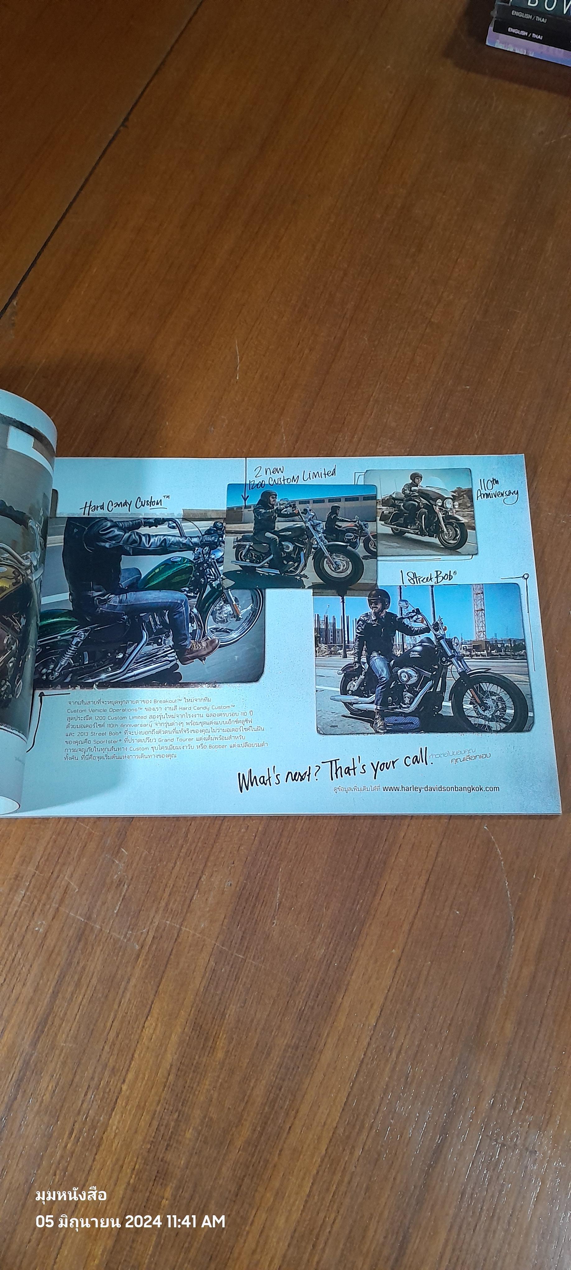 HARLEY - DAVIDSON MOTORCYCLES 2013