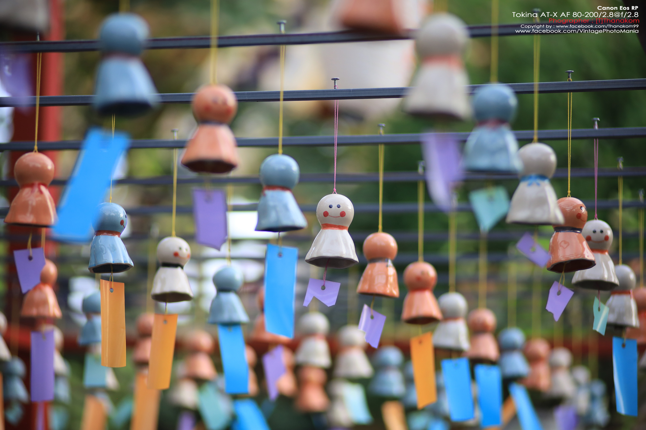 Tokina AT-X SD AF 80-200/2.8 *Nikon AF-D Mount เลนส์ซูมระดับโปรเอฟกว้างละลายหลังสวย