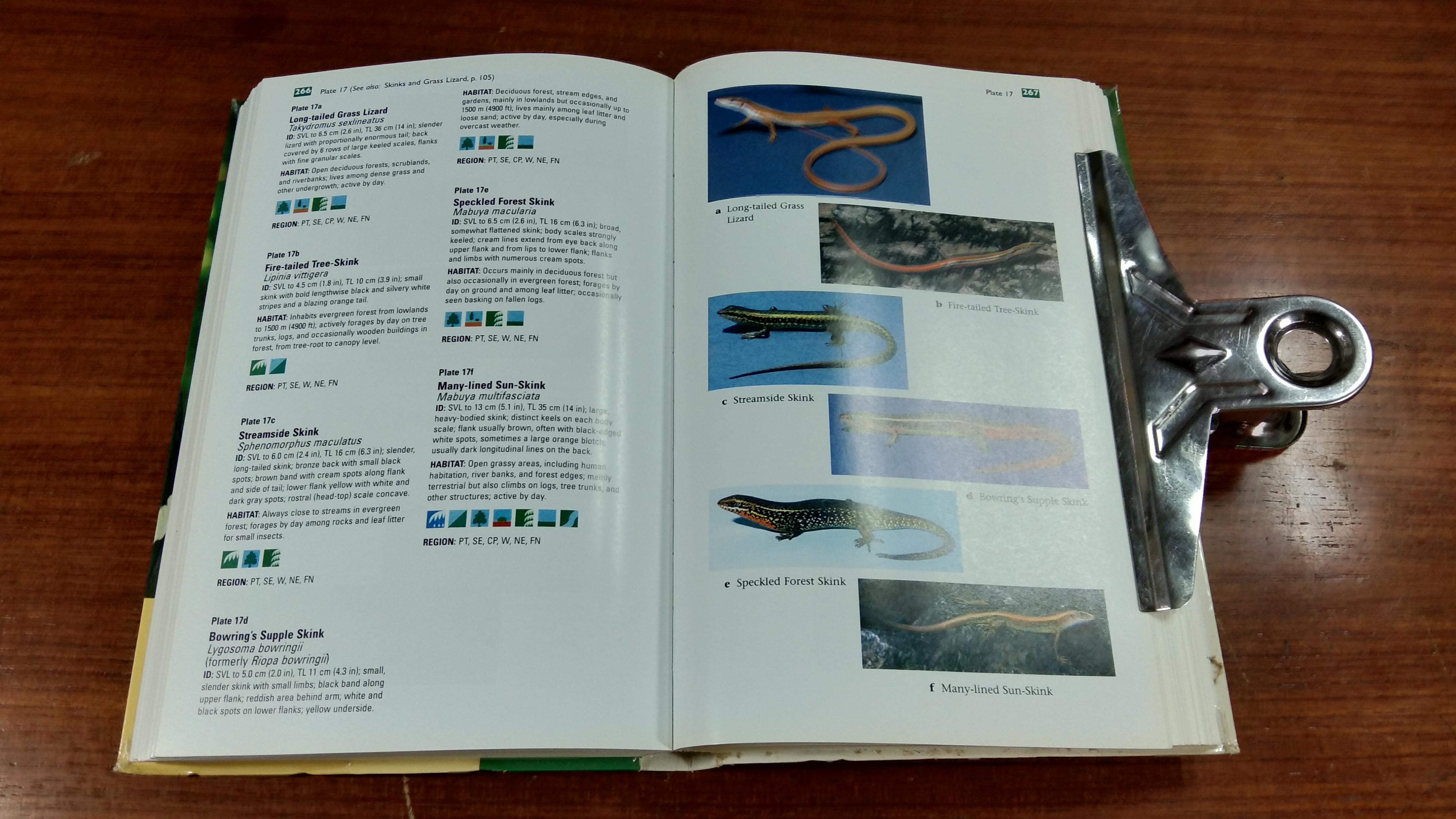 TRAVELLERS' WILDLIFE GUIDES THAILAND / DAVID L. PEARSON