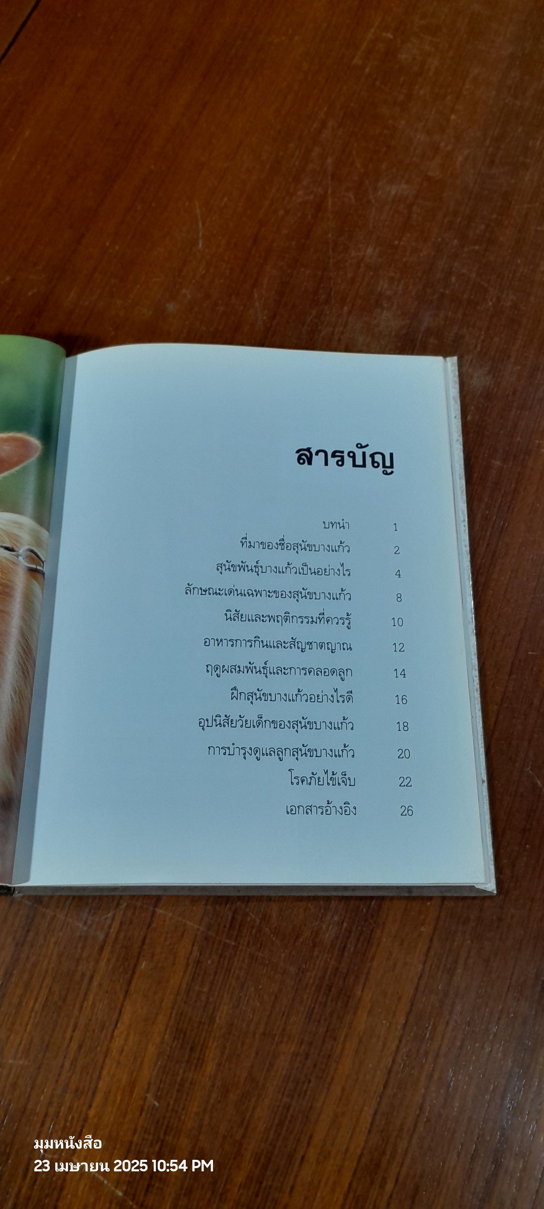 สุนัขบางแก้ว / วิชิต สิงห์ทอง