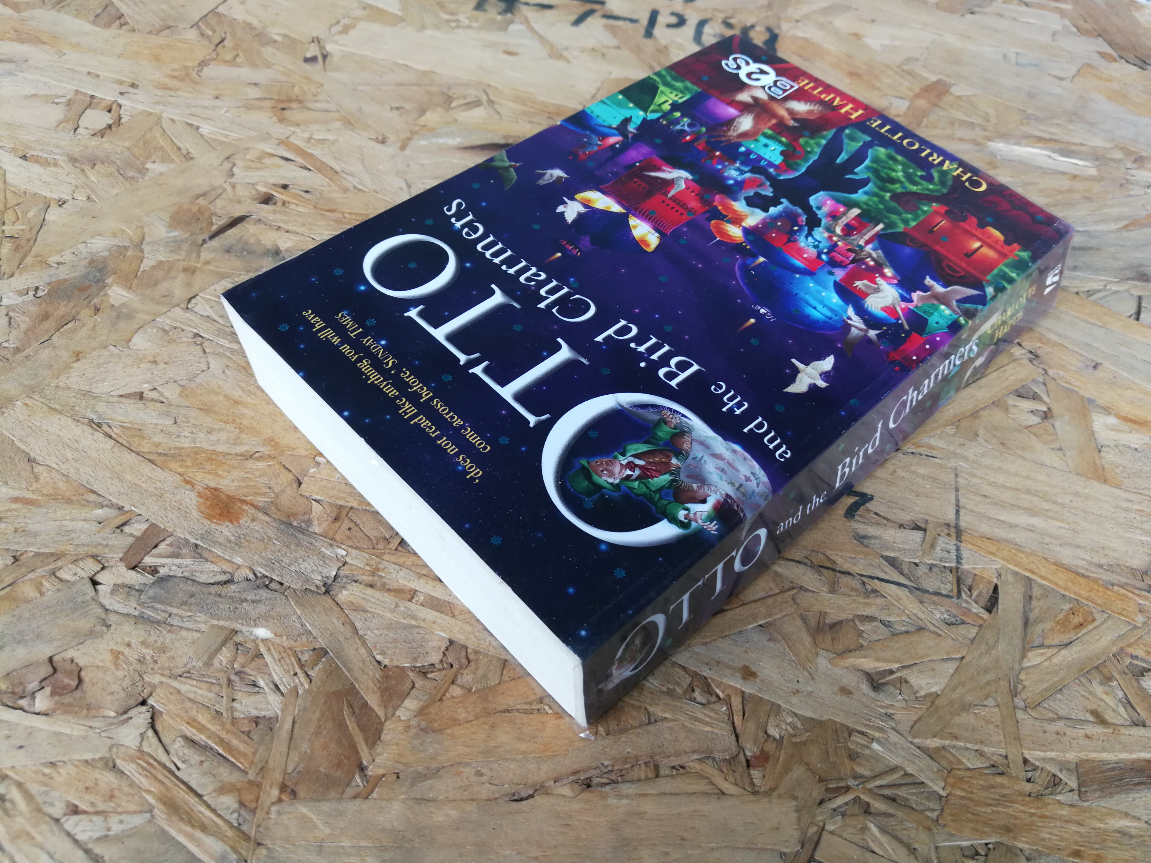 OTTO and the Bird Charmers / CHARLOTTE HAPTIE