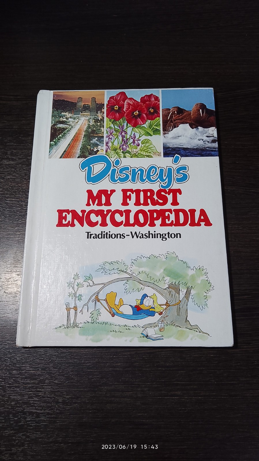 Disney's MY FIRST ENCYCLOPEDIA # 22