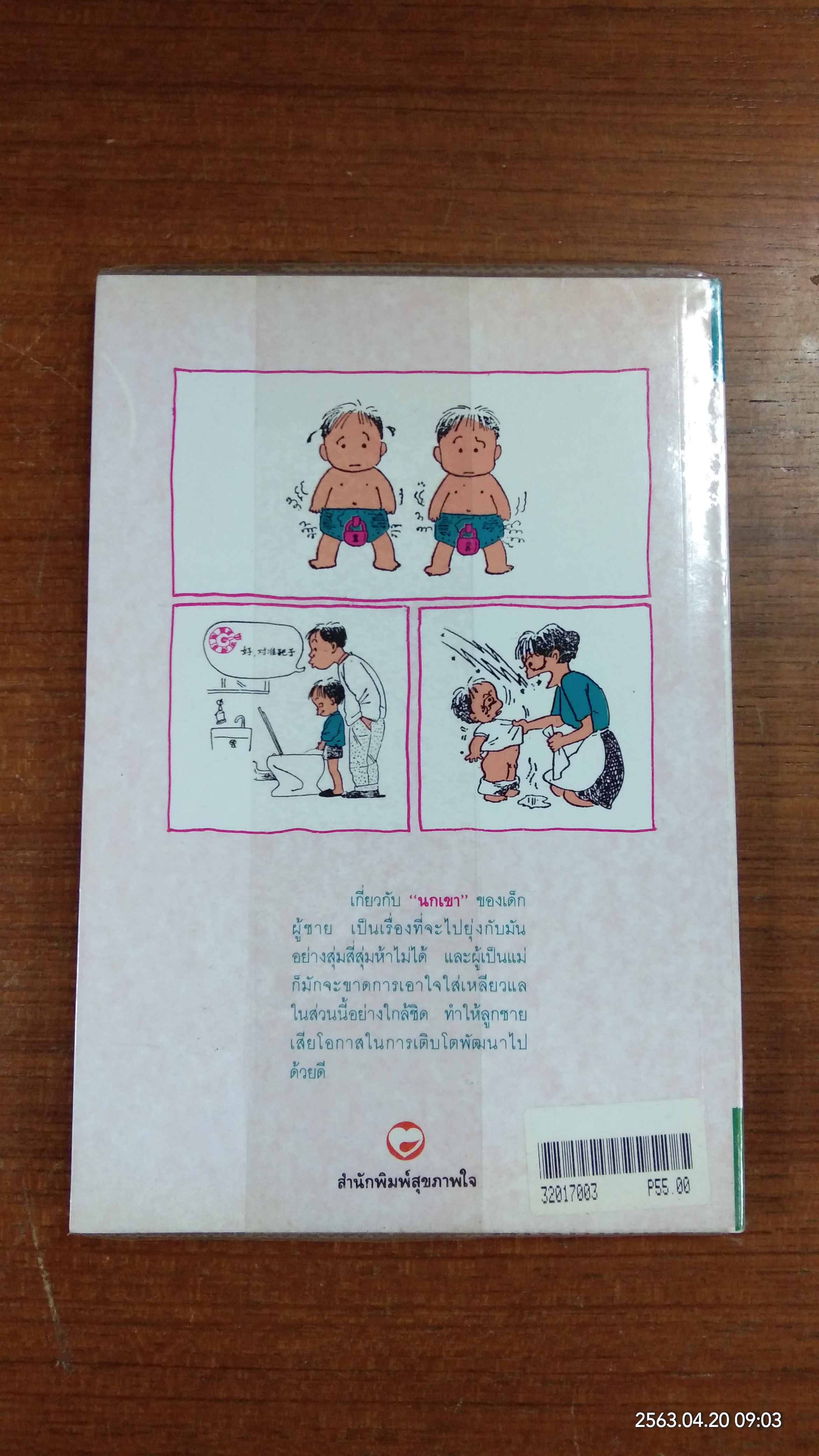 ปัญหาใหญ่ของนกเขาน้อย / รุ่งรวี ภาณุพิศุทธิ์