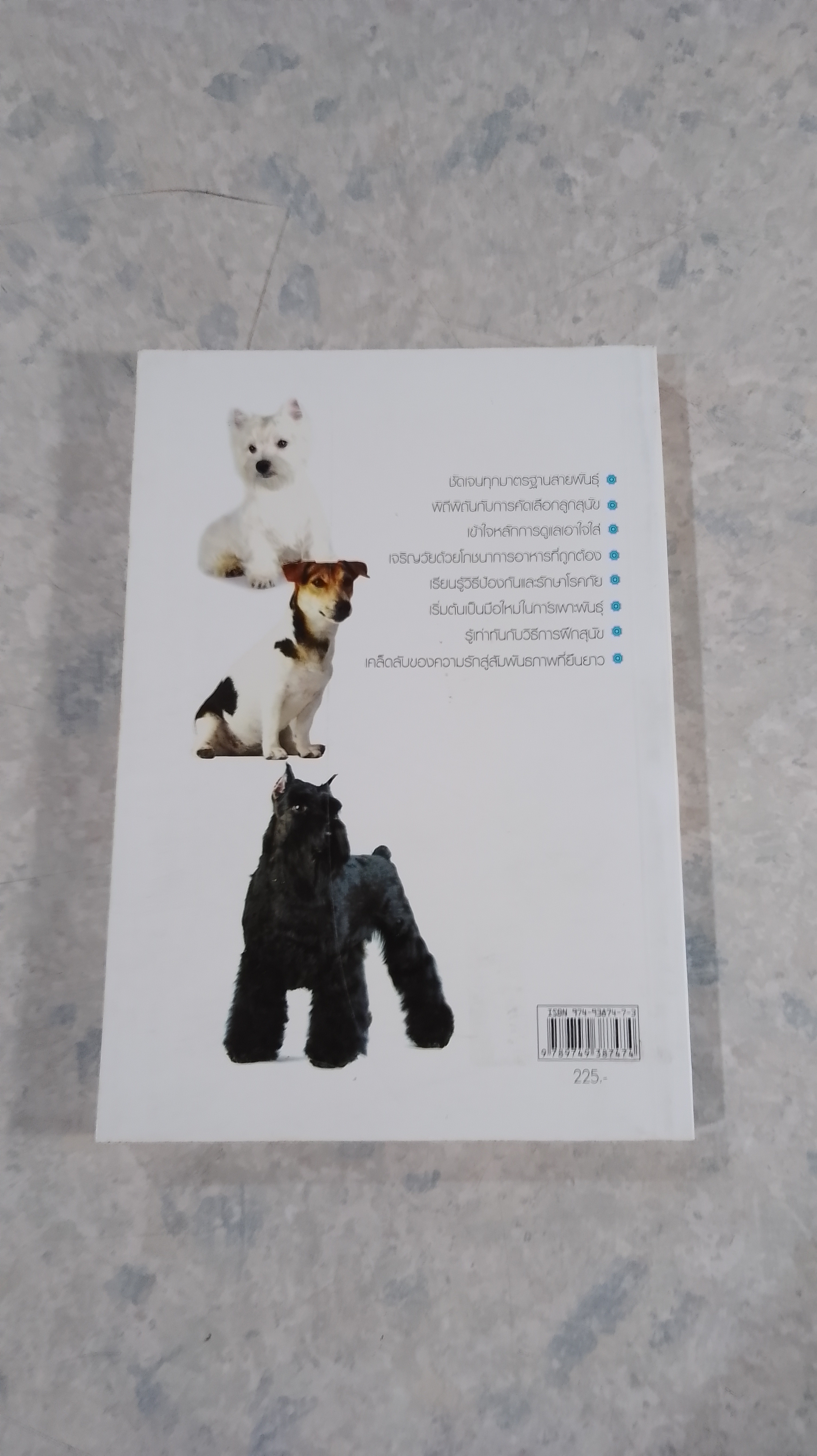 DOG IN THAILAND VOLUME 2 / ทวีศักดิ์