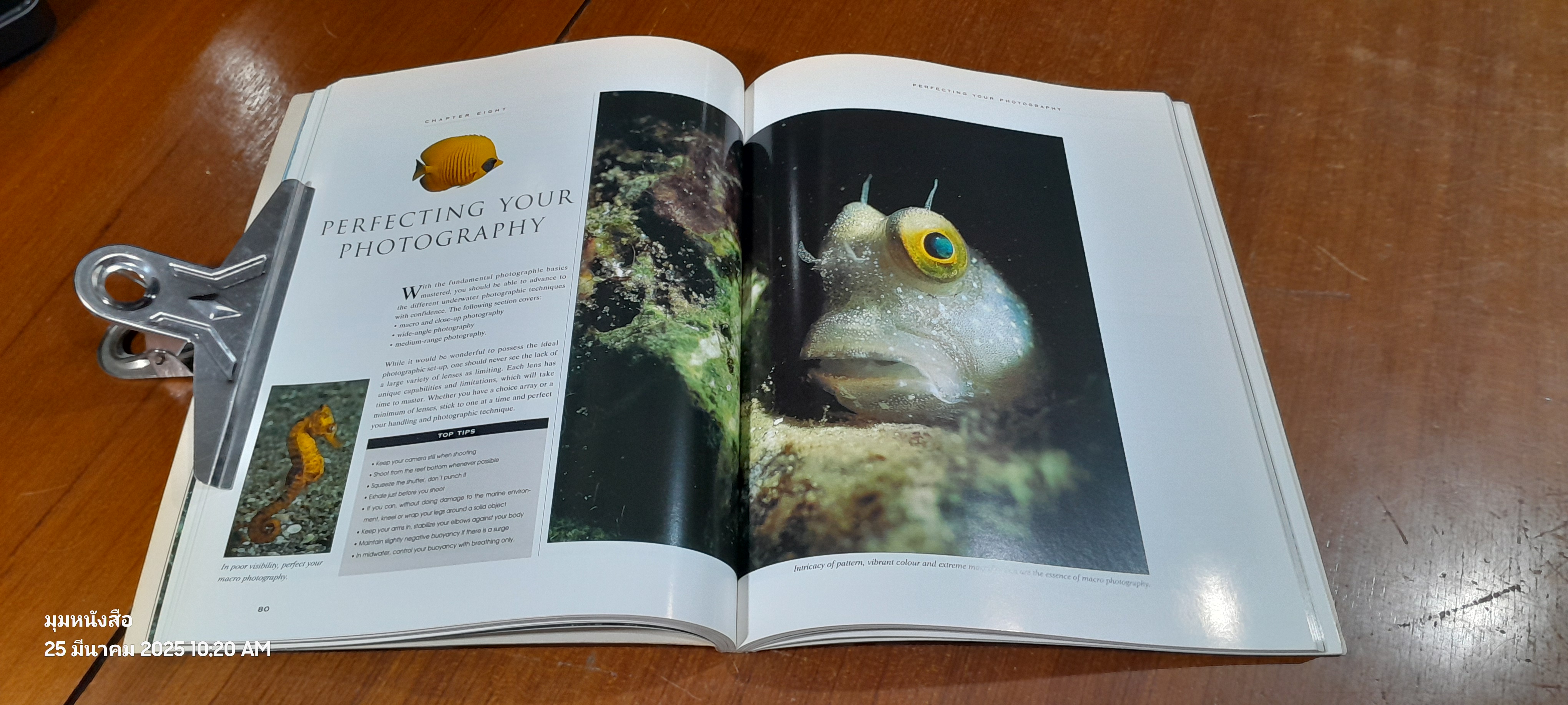 UNDERWATER PHOTOGRAPHY / Annemarie