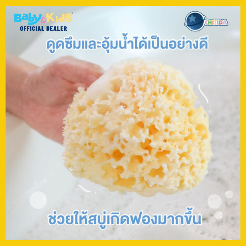 Chitida Natural Mediterranean Sea Sponge ฟองน้ำธรรมชาติ 100% รุ่น HONEYCOMB Size.M
