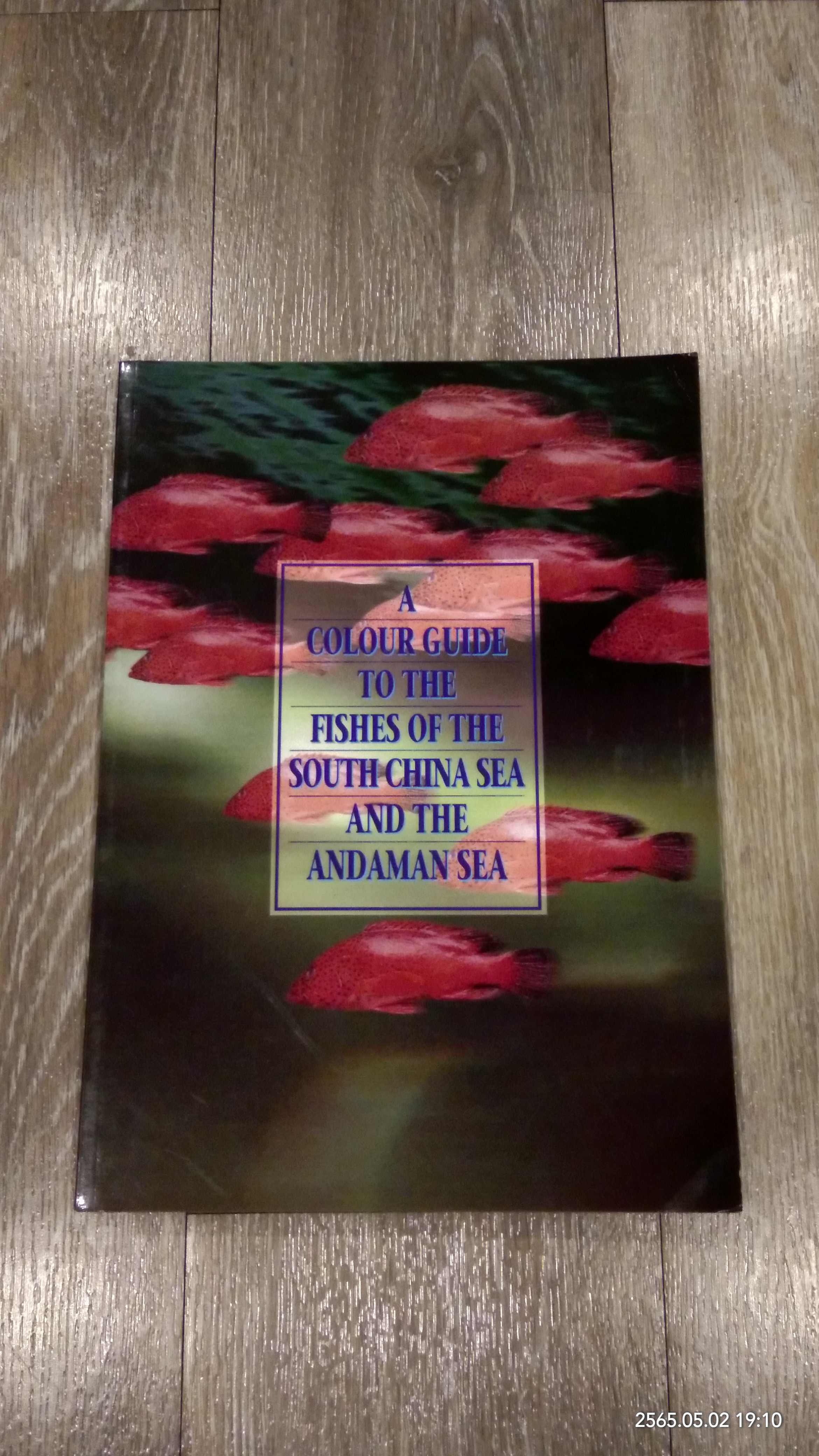 A COLOUR GUIDE TO THE FISHES OF THE SOUTH CHINA SEA AND THE ANDAMAN SEA