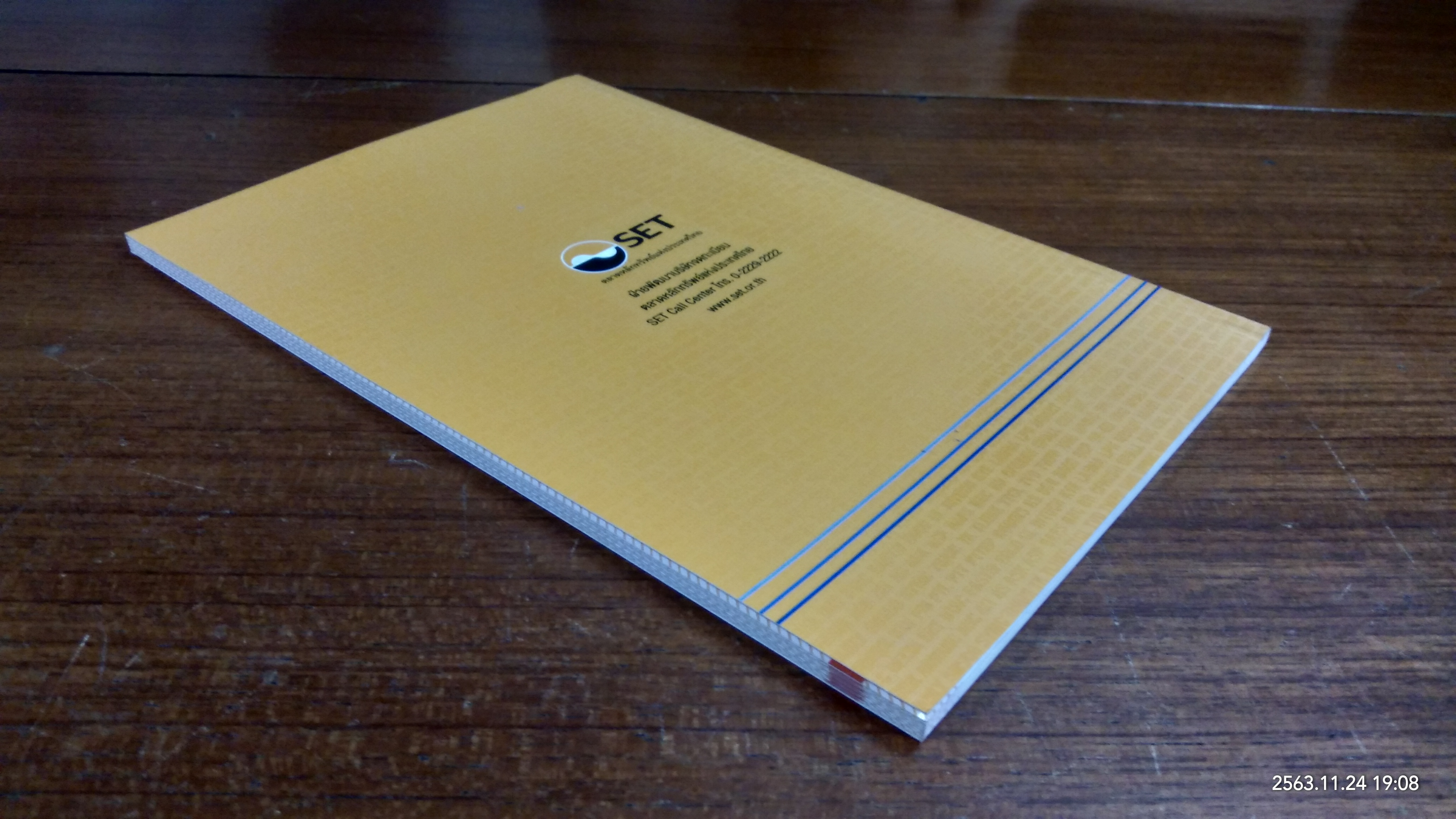 SEF Stock Focus 2013