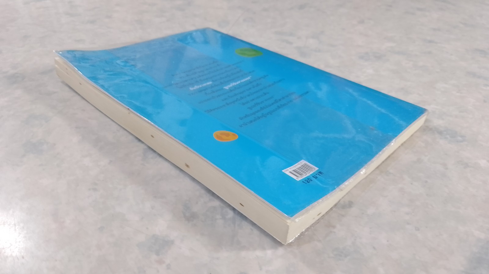 ฉันเป็นวงกลม / ซูเปอร์ชินจางงงง