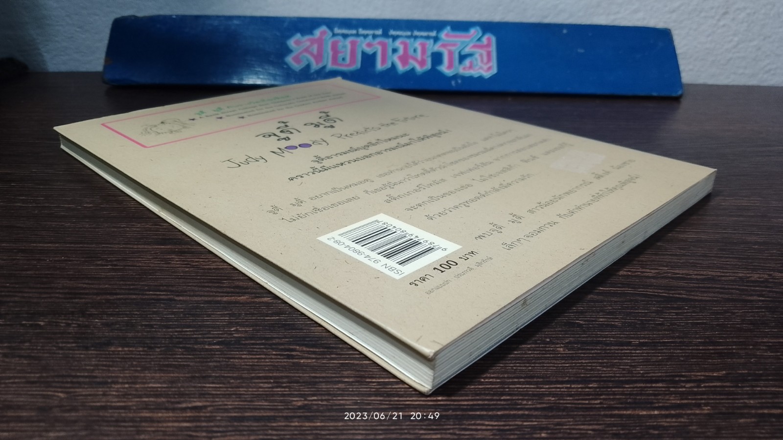 จูดี้ มูดี้ ตอน จูดี้อยากเป็นหมอดู / เมแกน แมคโดนัลด์