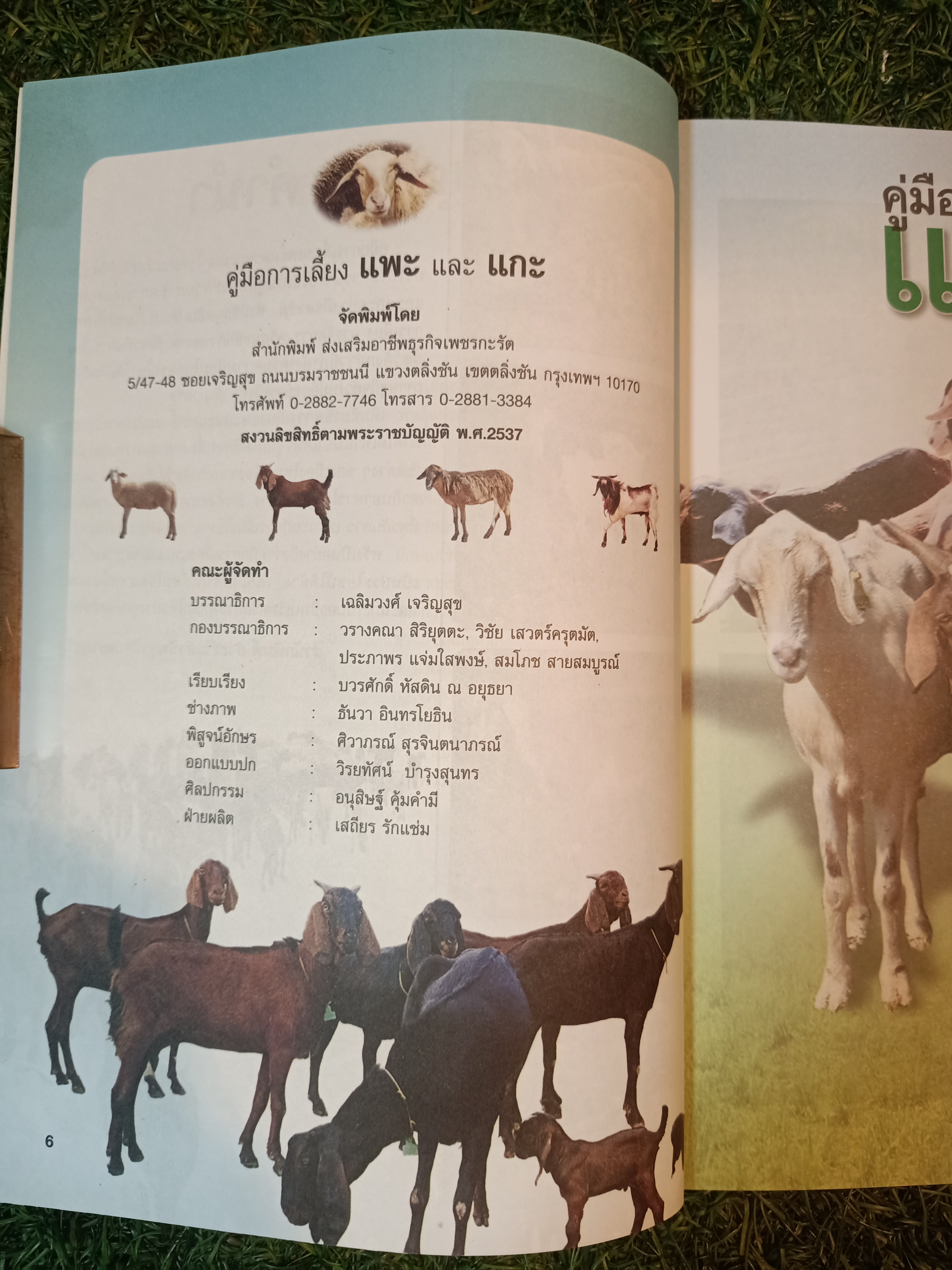 คู่มือการเลี้ยง แพะ และ แกะ สัตว์เศรษฐกิจที่กำลังได้รับความนิยมสูง / บวรศักดิ์ หัสดิน ณ อยุธยา