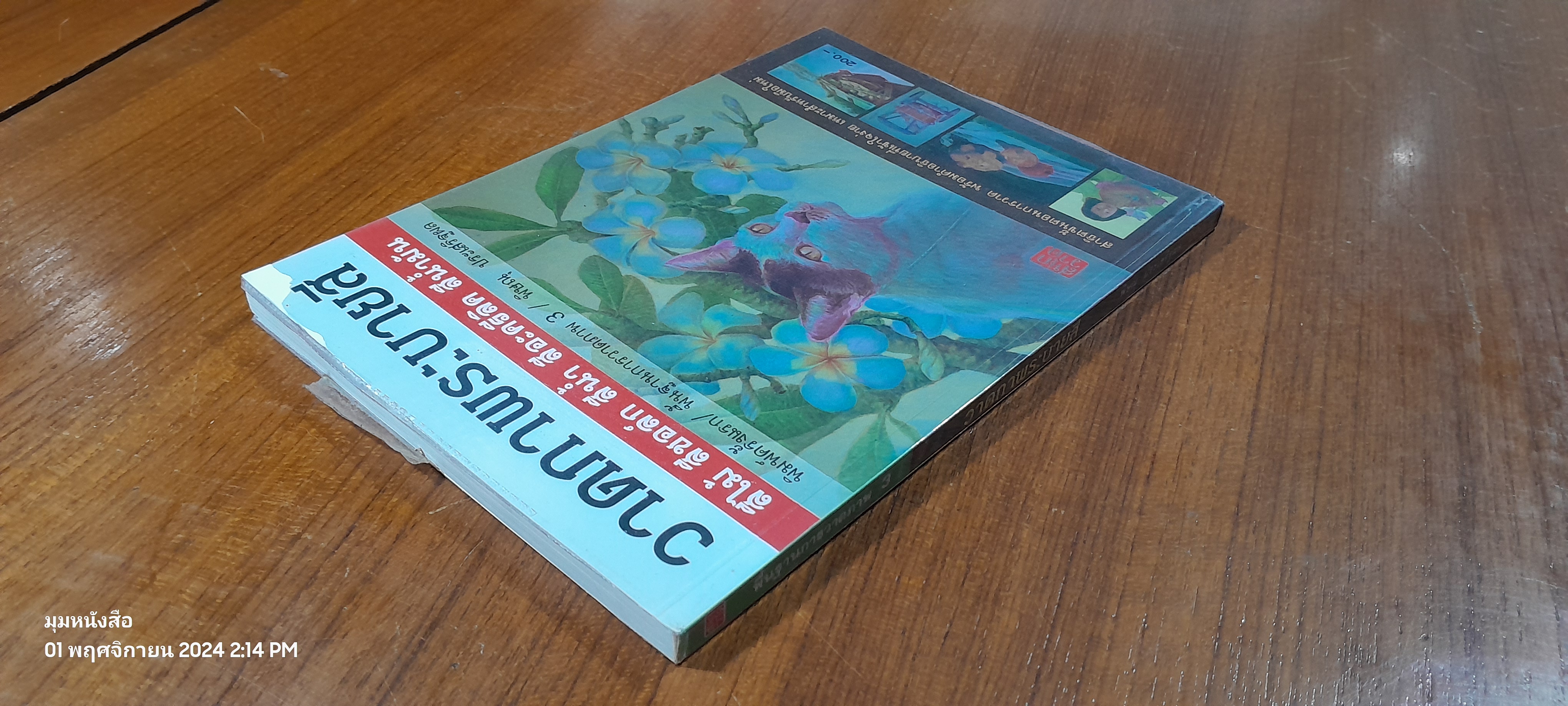 วาดภาพระบายสี / พิษณุ ประเสริฐผล