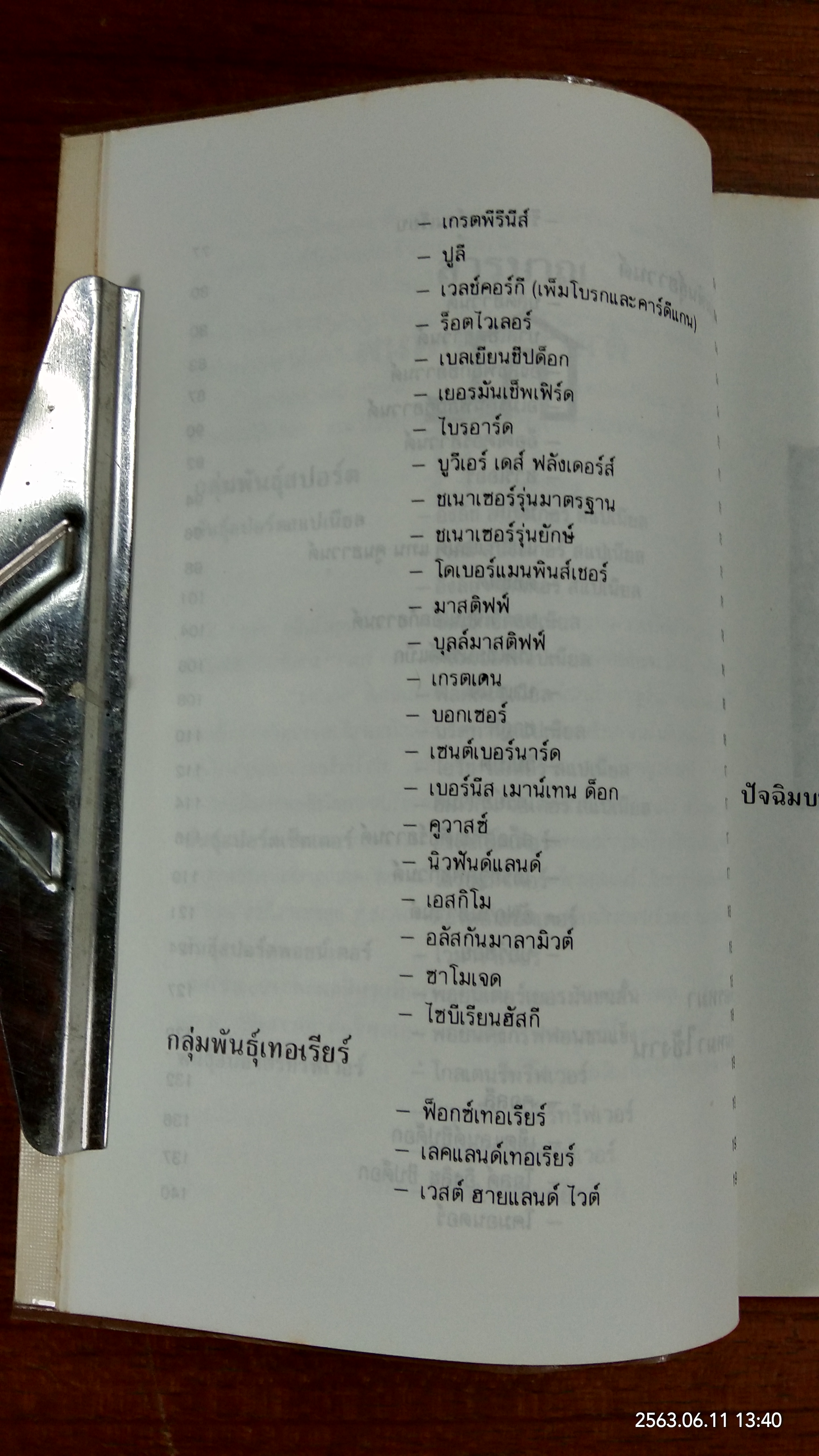 หมาสัตว์เลี้ยงแสนรัก (มีรอยขีดเขียนด้านใน) / จำเนียร เหมะรัต
