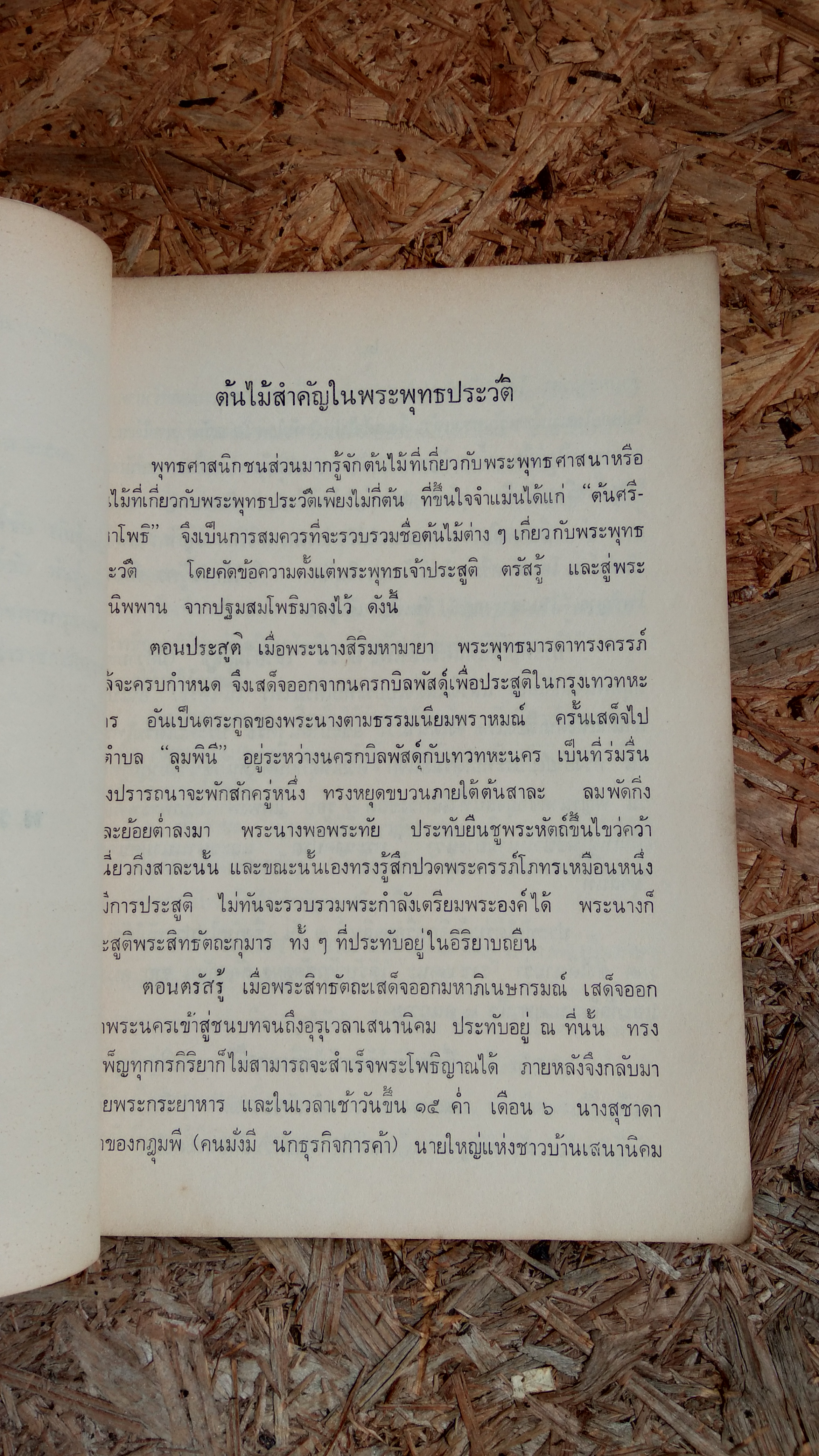 ้ต้นไม้สำคัญในพุทธประวัติ - ต้นไม้ในวรรณคดี / สำนักโยธากรุงเทพมหานคร (มีตราห้องสมุด)