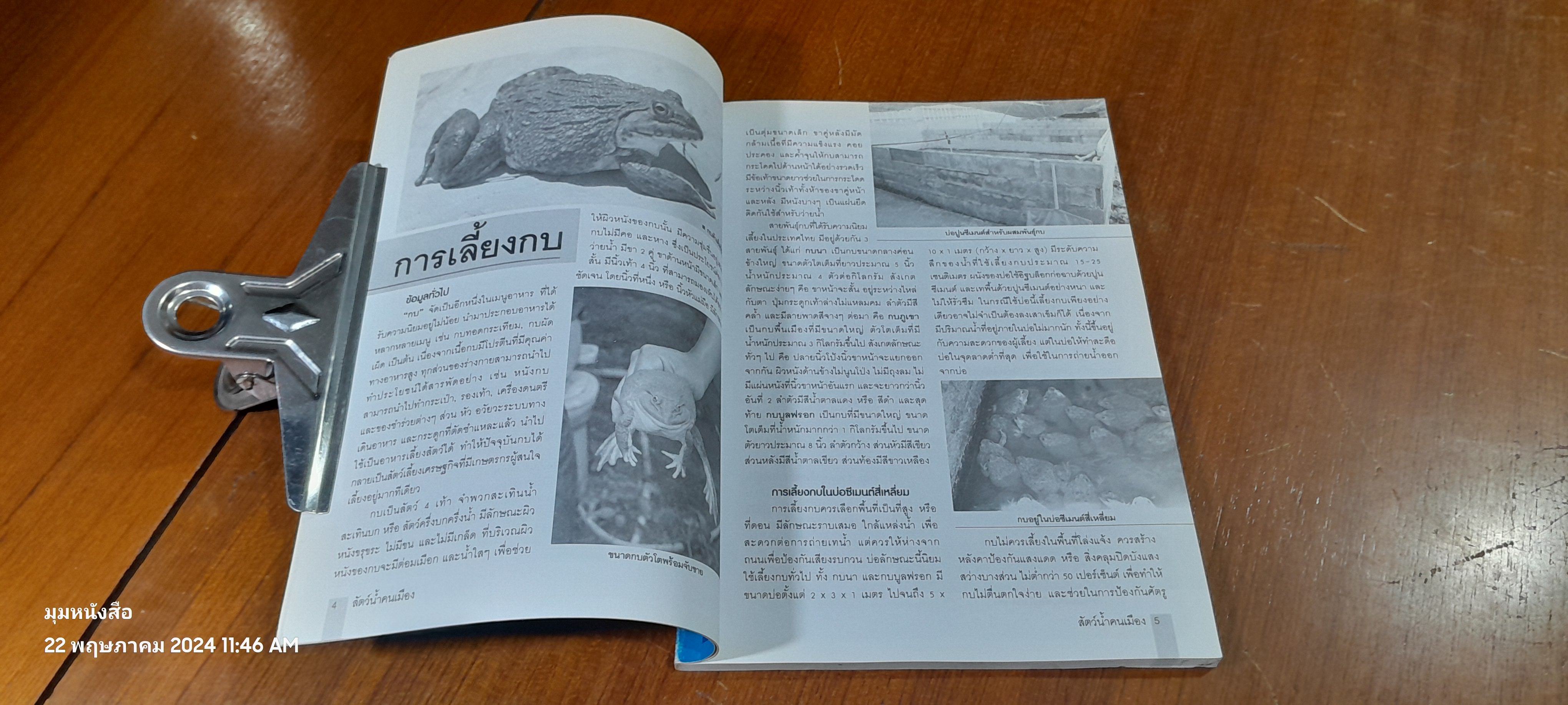 สัตว์น้ำคนเมือง ทำเงินในรั้วบ้าน / อภิชาติ ศรีสอาด