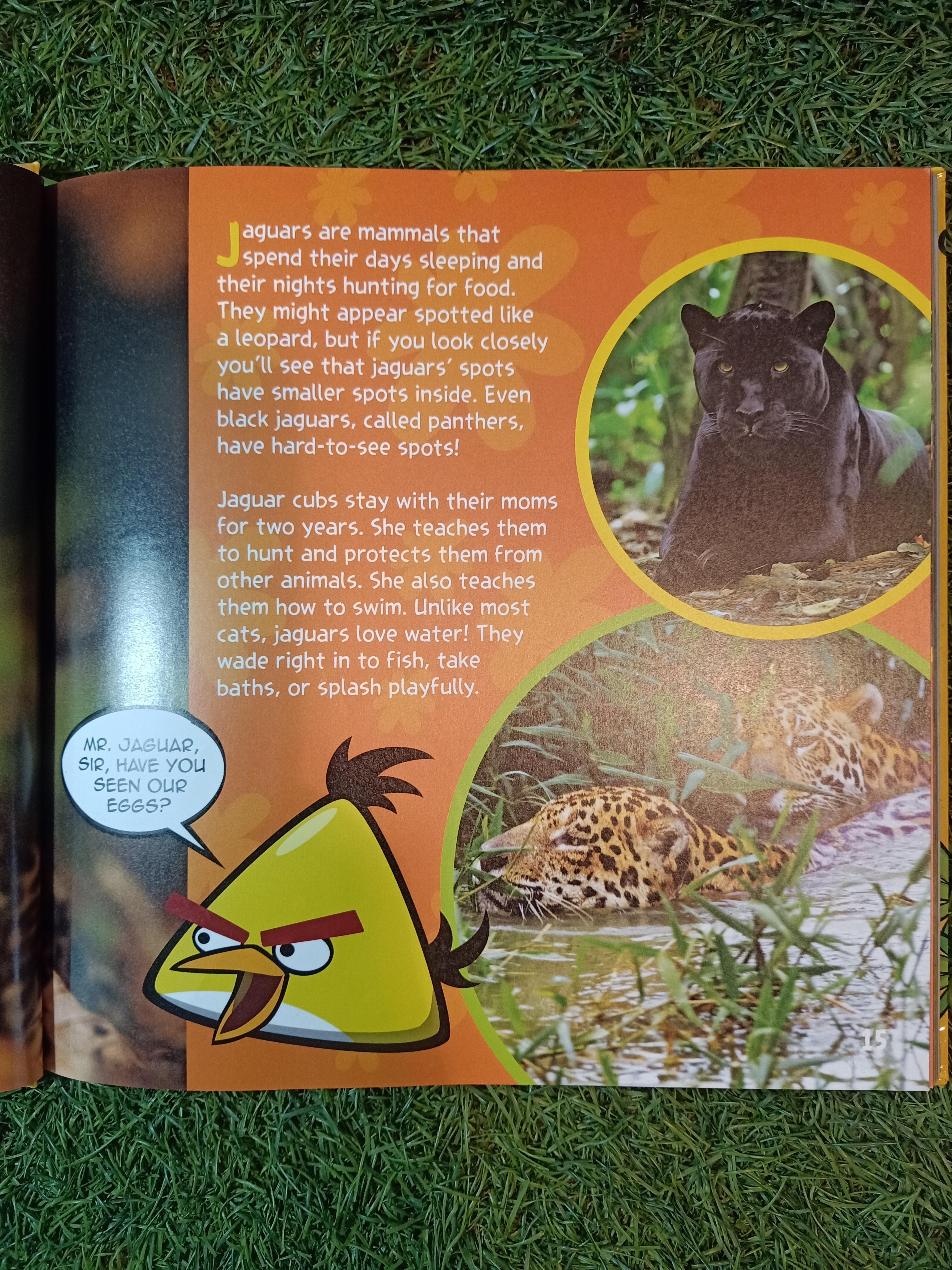 ANGRY BIRDS PLAYGROUND (ANIMALS) / NATIONAL GEOGRAPHIC
