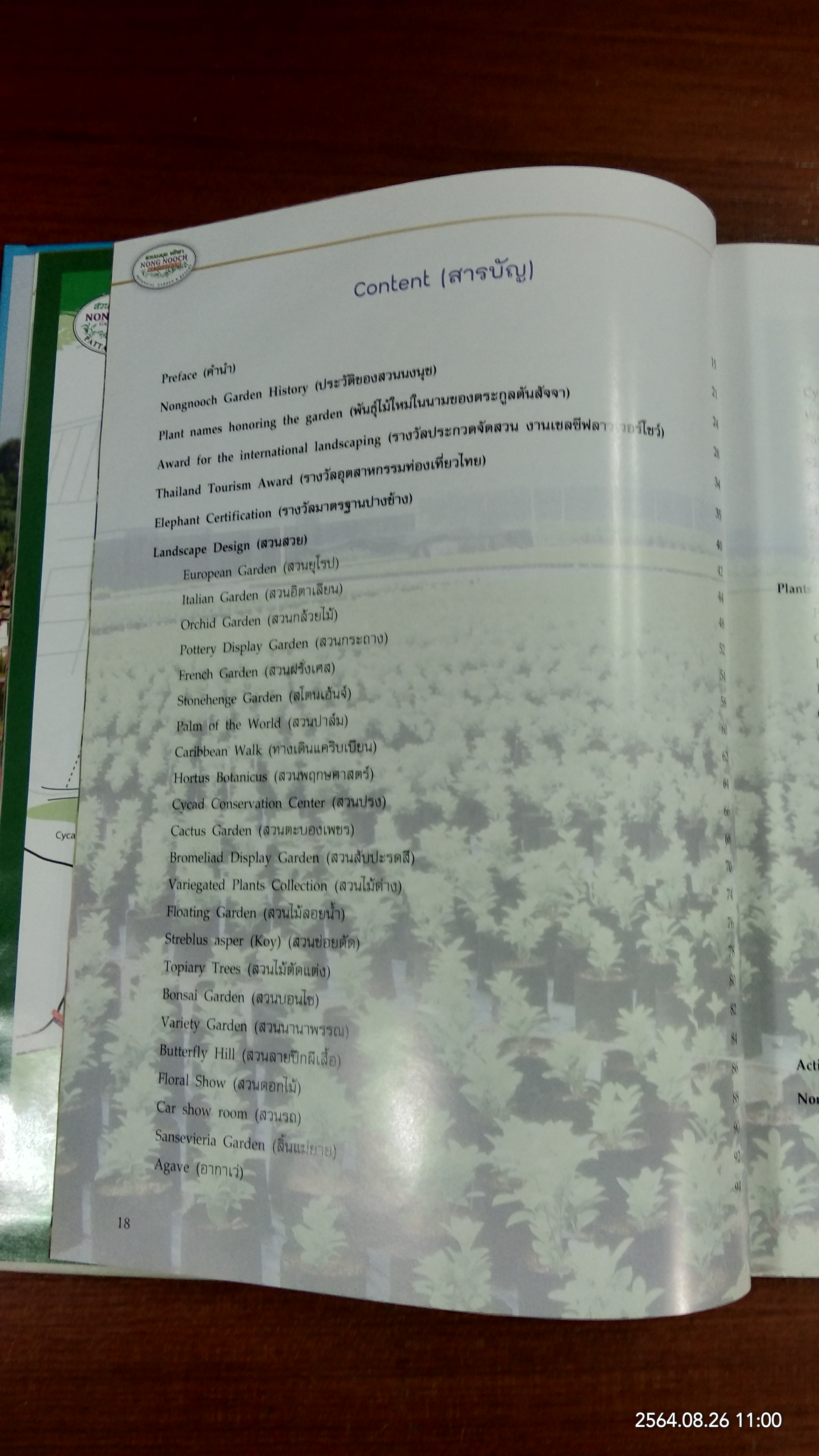 สวนพฤกษศาสตร์นงนุช พัทยา