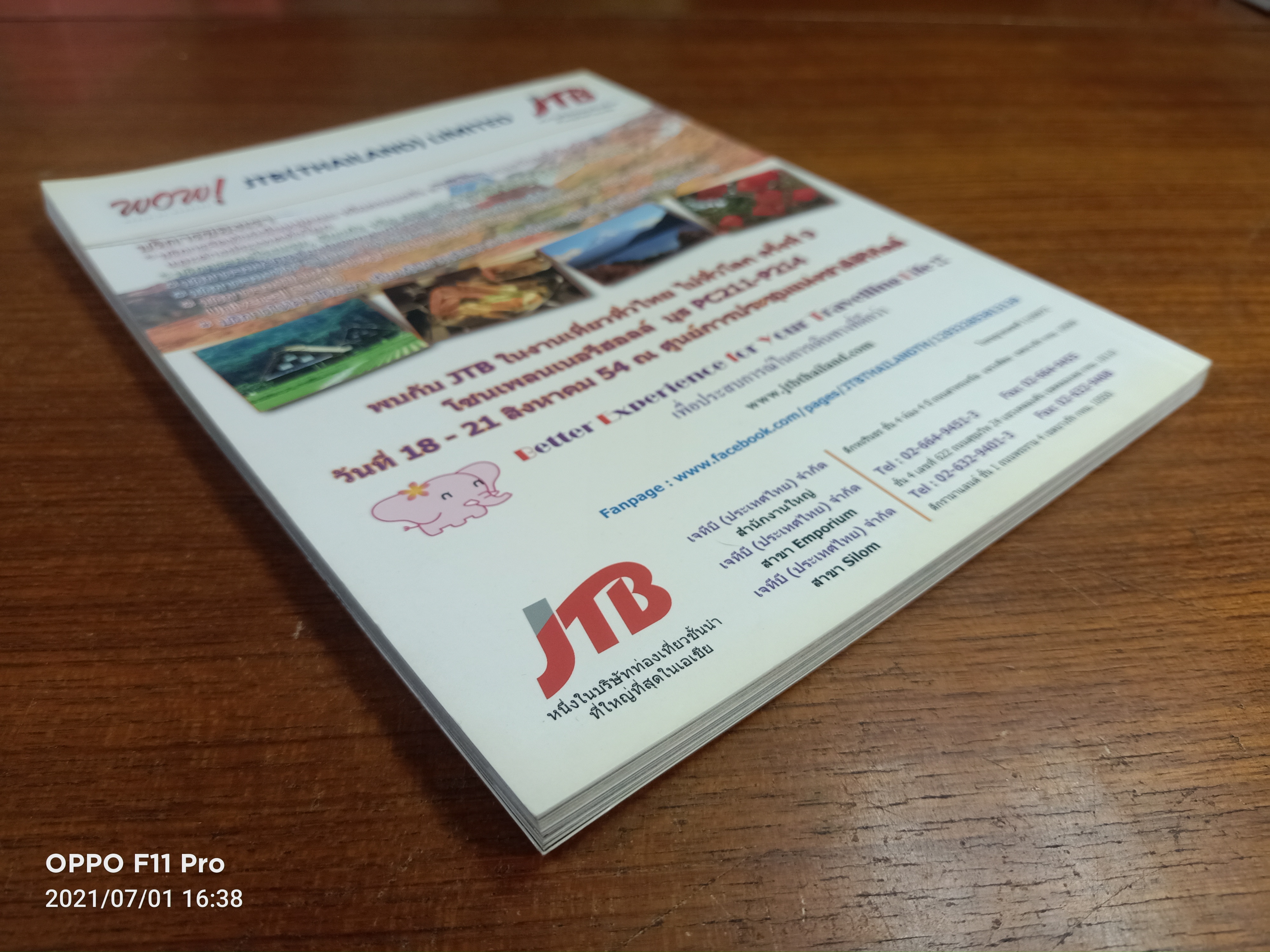 Autumn ตระการตาใบไม้เปลี่ยนสีในญี่ปุ่น / ชยภร พับลิเคชัน