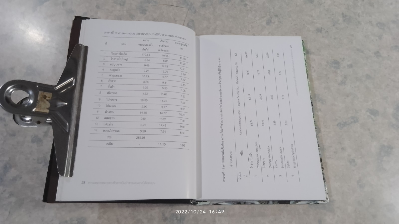 ความหลากหลายทางชีวภาพในป่าชายเลน ภาคใต้ตอนบน