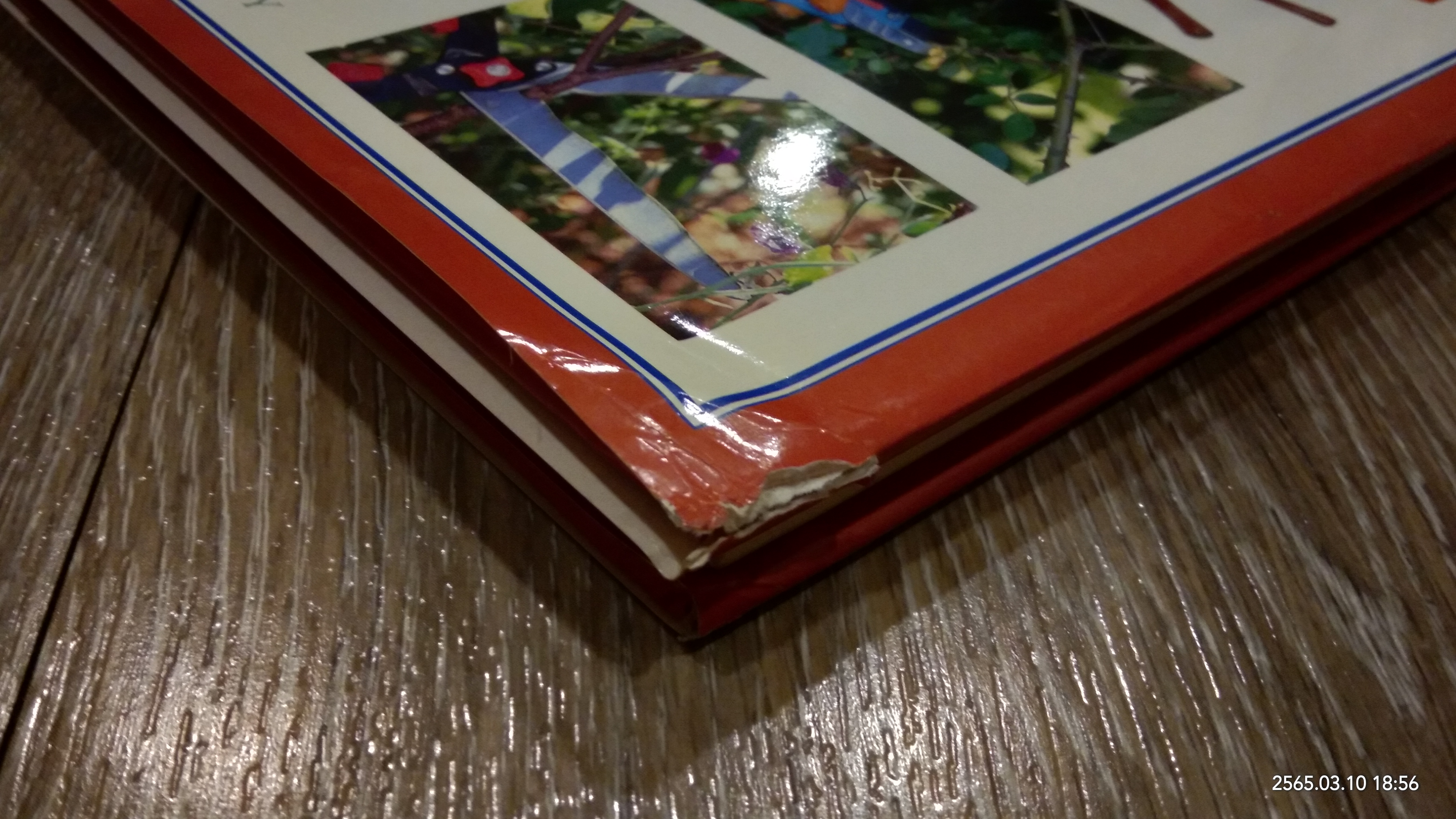 SUCCESSFUL PRUNING / PETER MCHOY