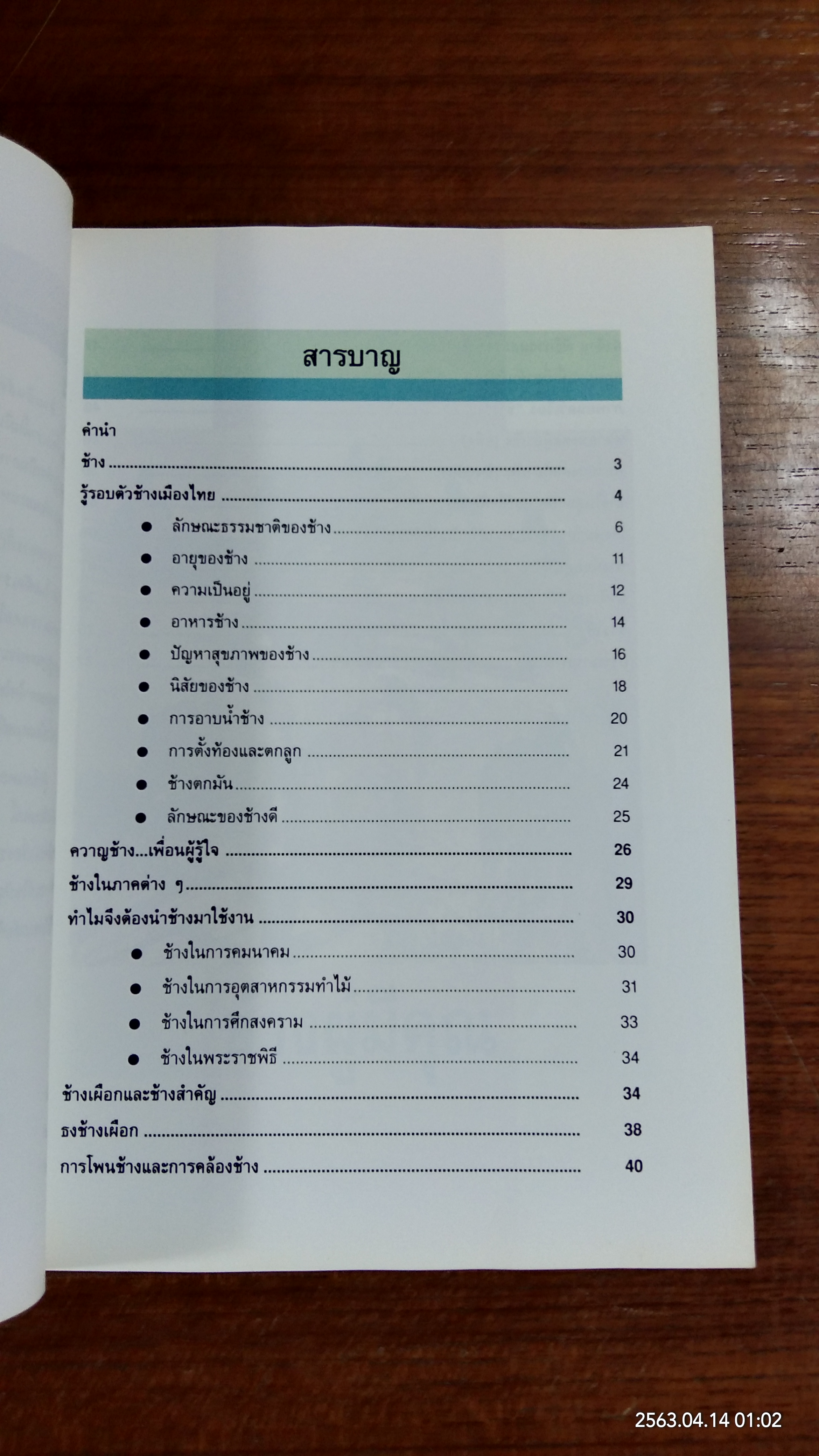 ช้างผู้มีคุณ / โซไรดา ซาลวาลา