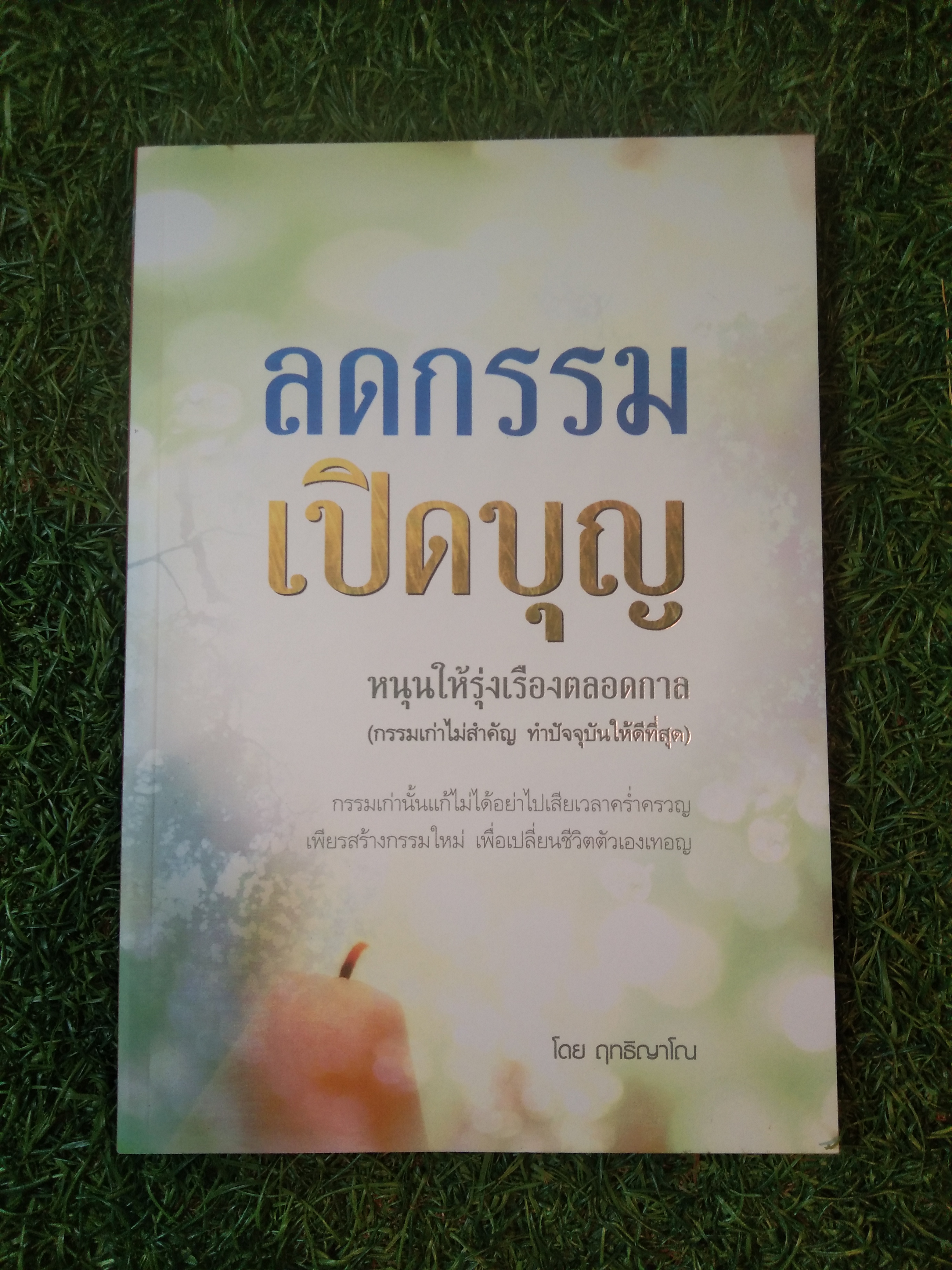 ลดกรรมเปิดบุญ / ฤทธิญาโณ