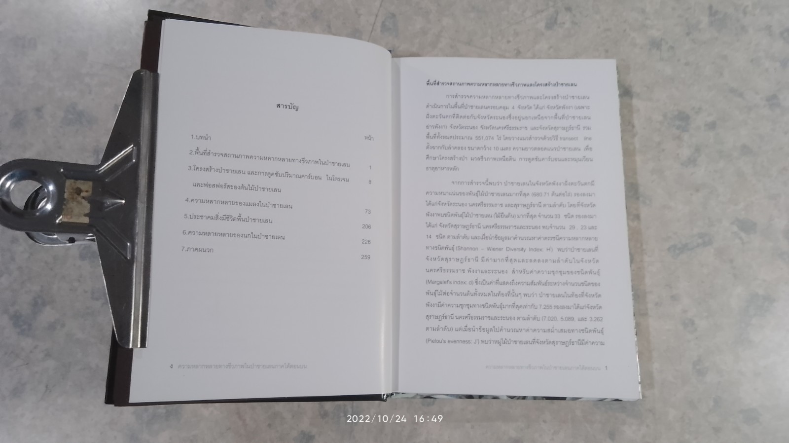 ความหลากหลายทางชีวภาพในป่าชายเลน ภาคใต้ตอนบน