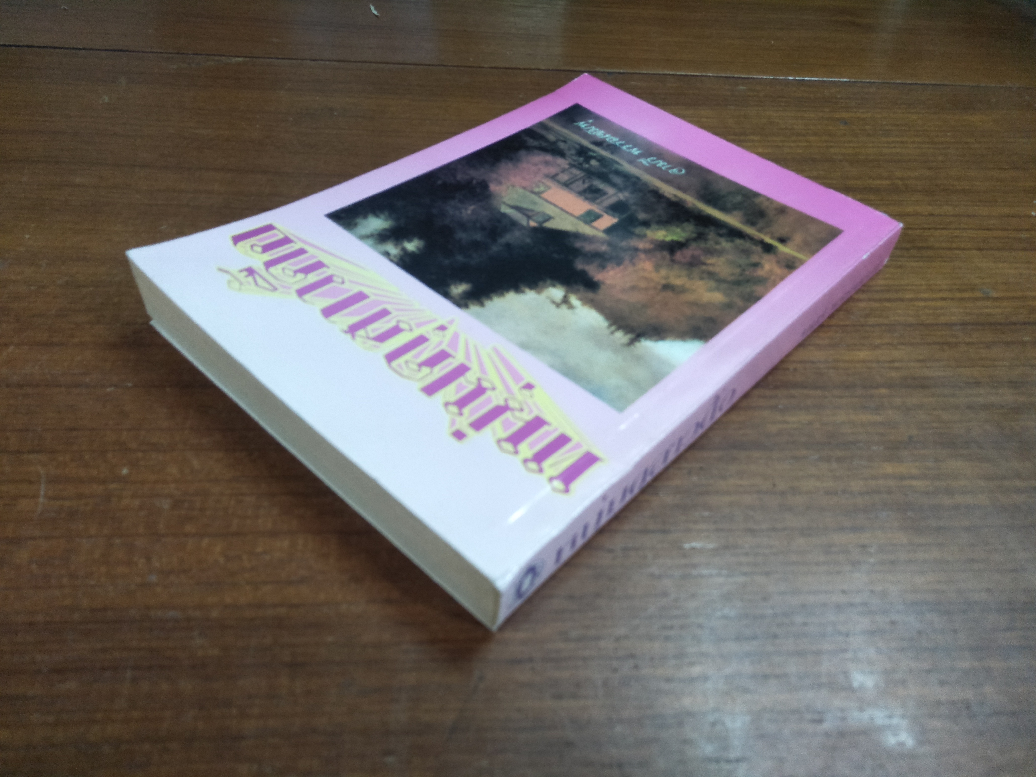 หนุ่มดุสาวดื้อ / จามรี พรรณชมพู