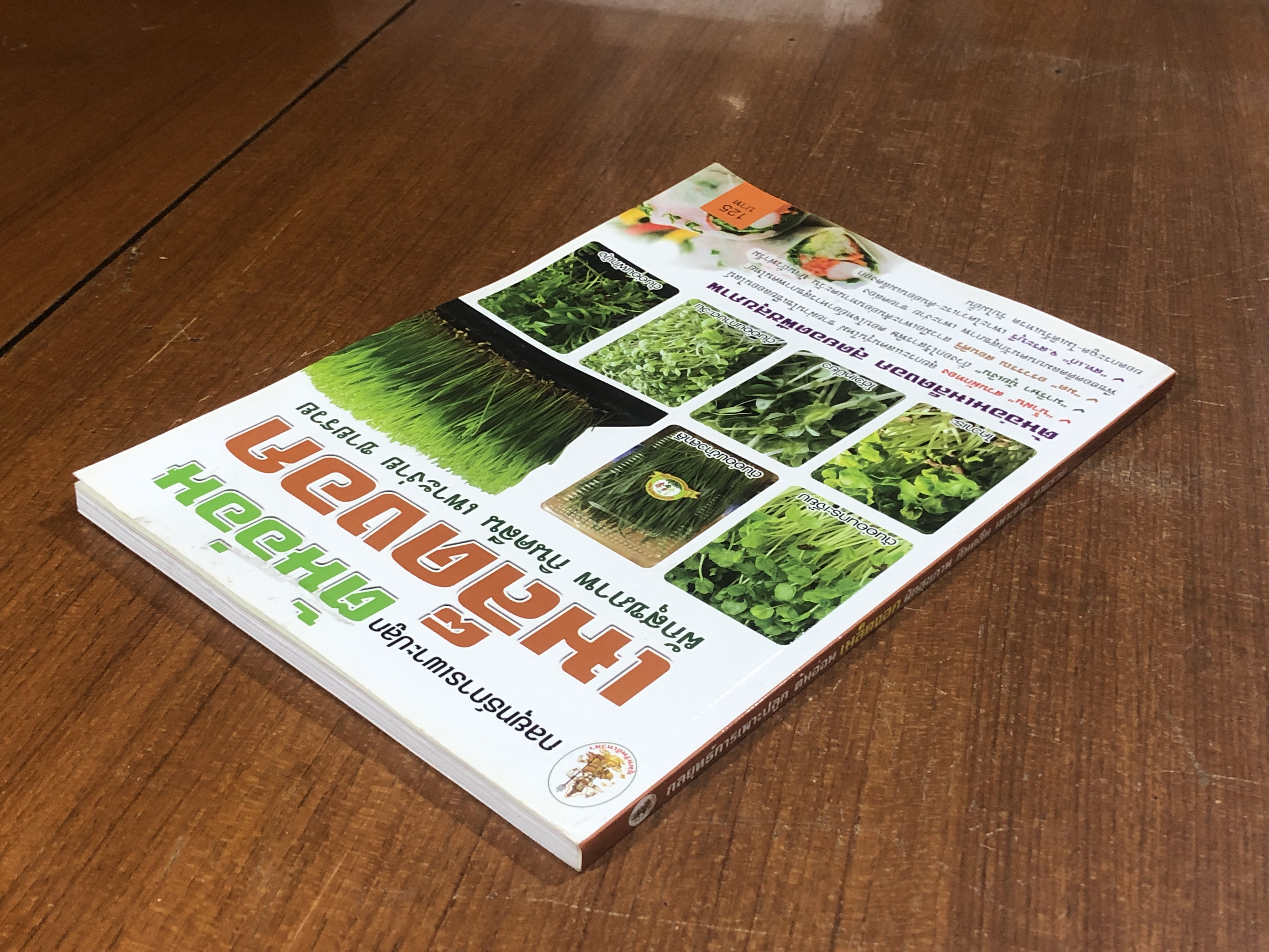 กลยุทธ์การเพาะปลูก ต้นอ่อน เมล็ดงอก ผักสุขภาพ กินคลีน เพาะง่าย ขายรวย