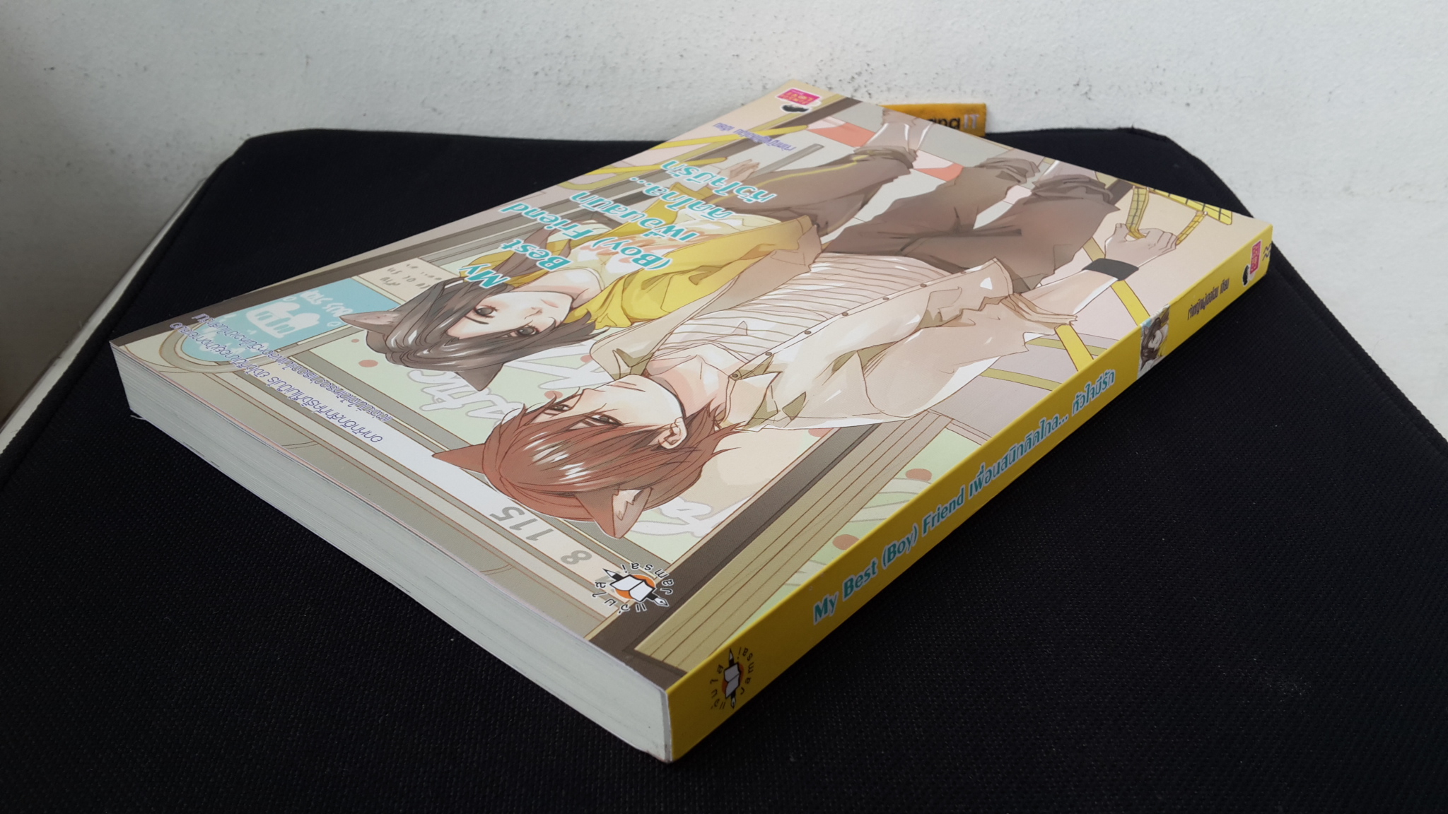 เพื่อนสนิทคิดไกล..หัวใจมีรัก / เจ้าหญิงผู้เลอโฉม