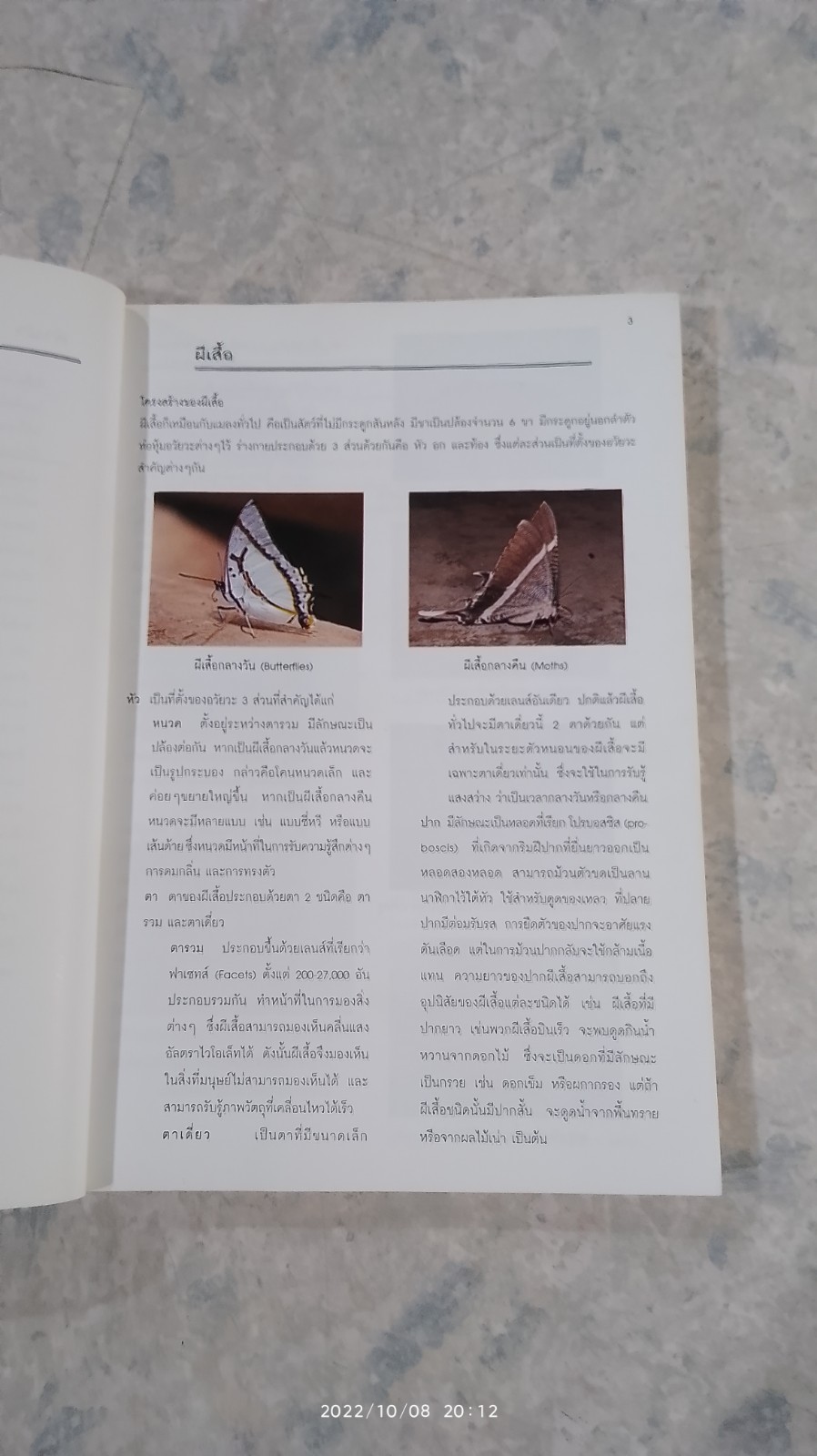 ผีเสื้อ คู่มือสำรวจและสื่อความหมายธรรมชาติ / สุรชัย ชลตำรงค์กุล