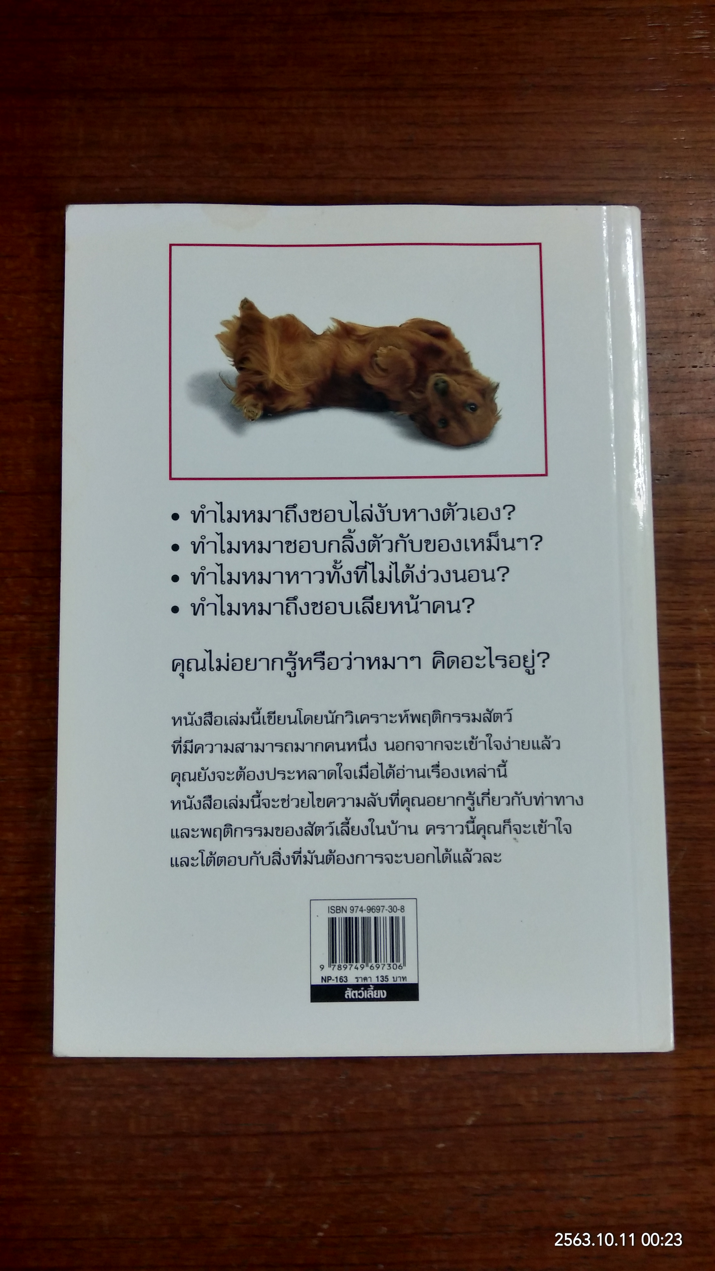 รู้ไหมหมาคิดอะไรอยู่? / GWEN BAILEY