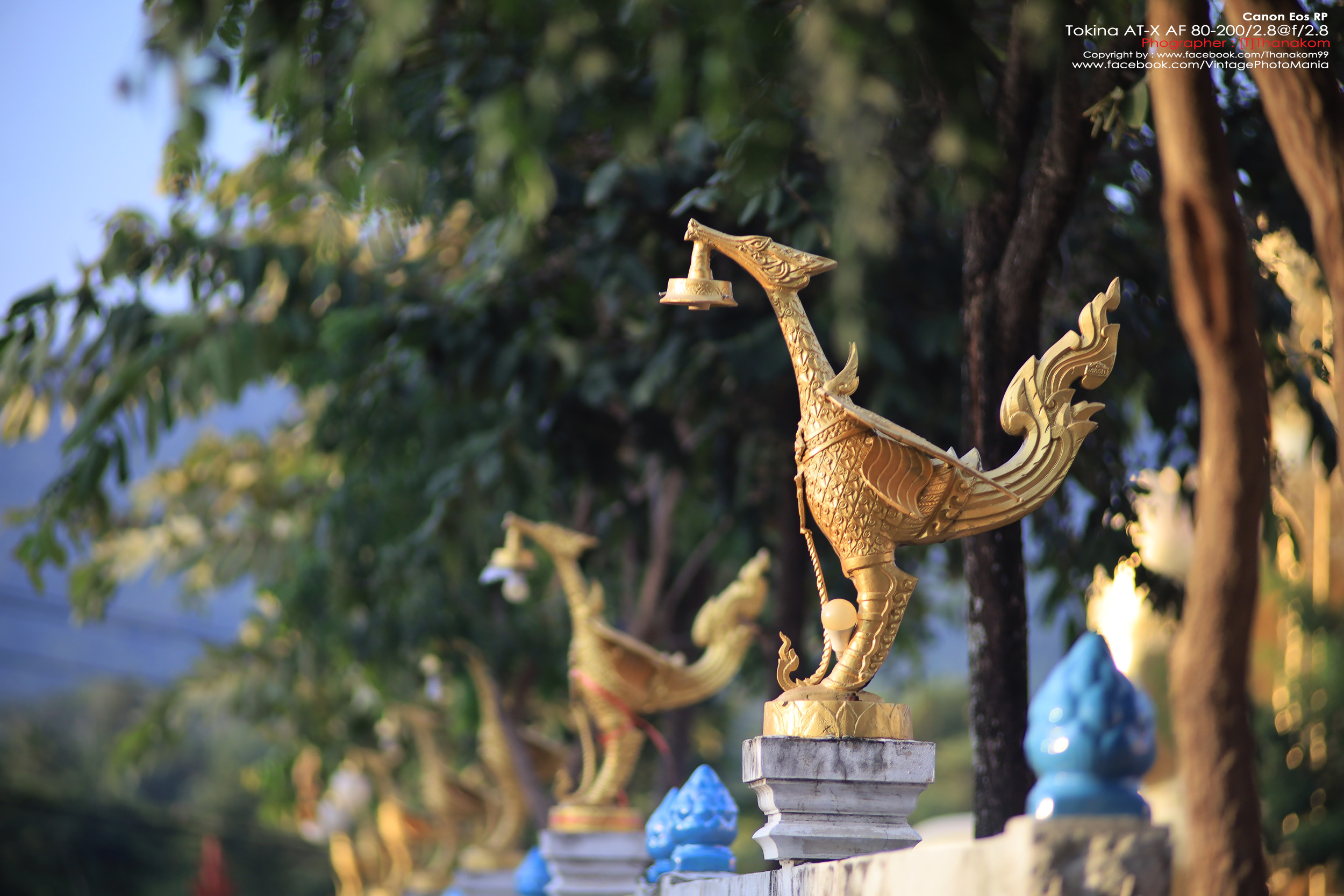 Tokina AT-X SD AF 80-200/2.8 *Nikon AF-D Mount เลนส์ซูมระดับโปรเอฟกว้างละลายหลังสวย