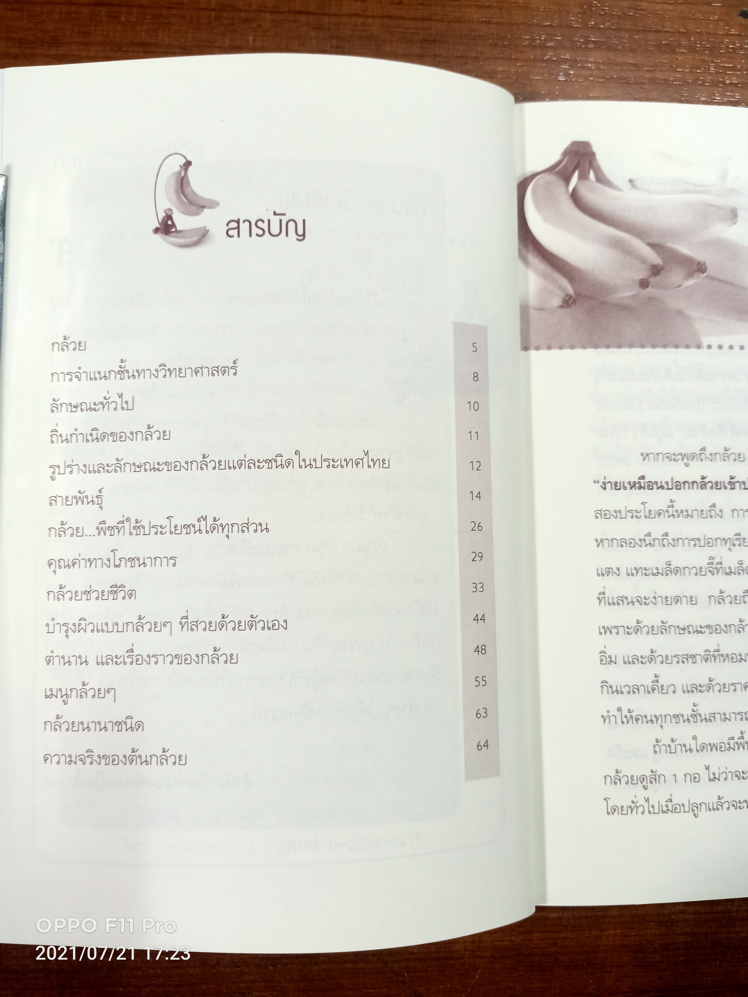 กิน กล้วย ช่วยชีวิต / นพ.ปัญญา ไพศาลอนันต์