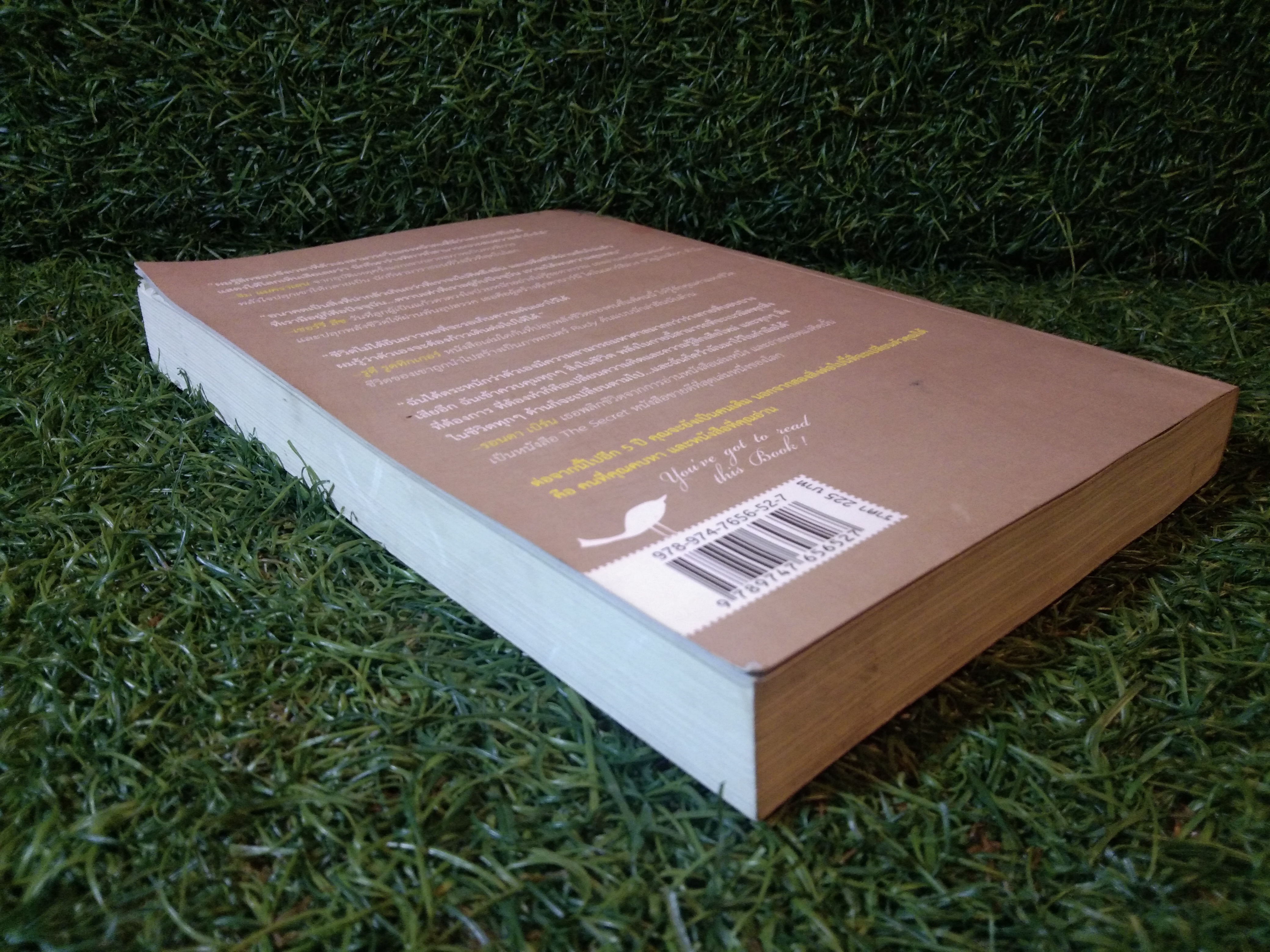หนังสือ ปลุกพลังชีวิต / แจ๊ค แคนฟิลด์/เกย์ เฮนดริคส์