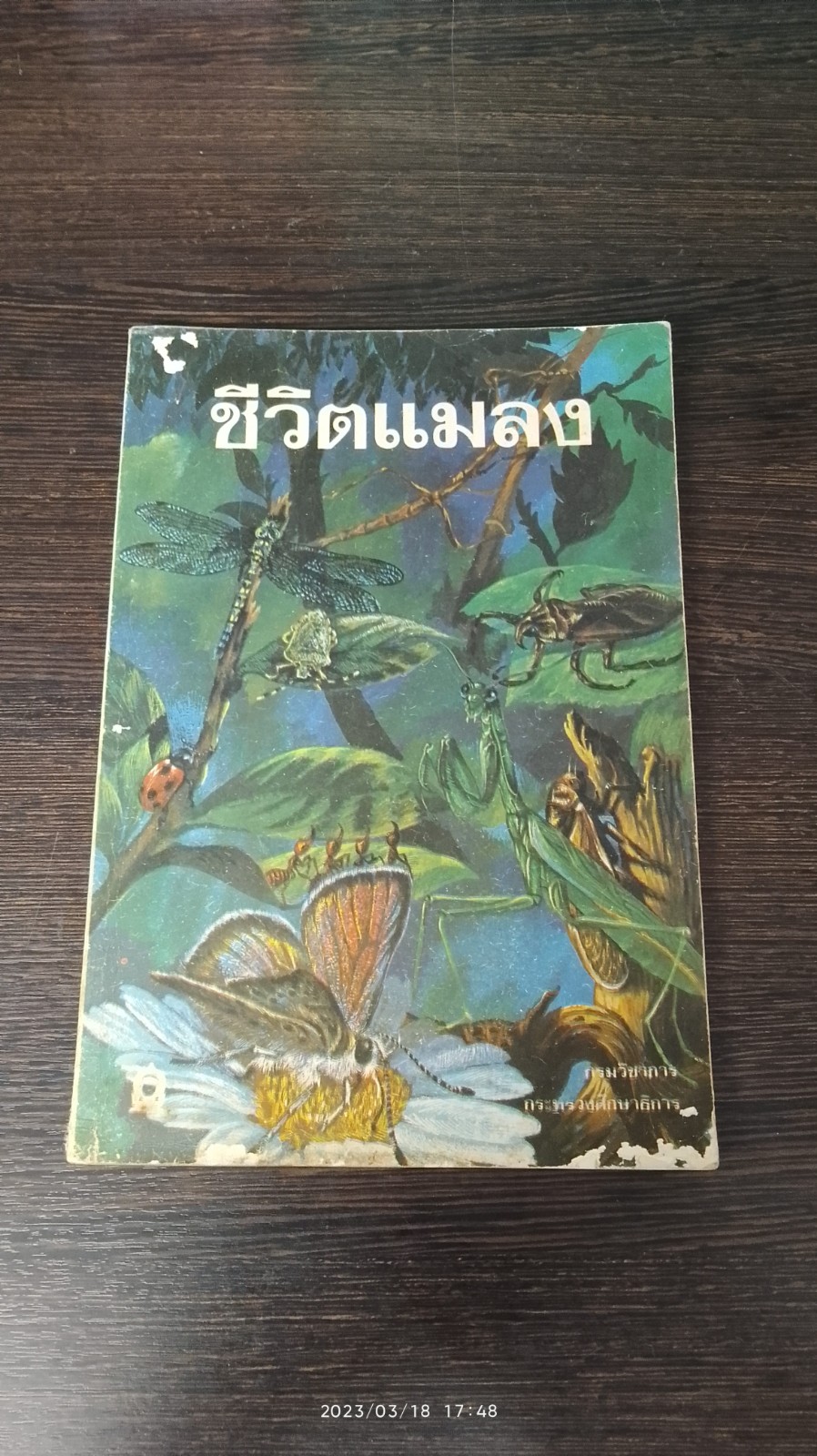 ชีวิตแมลง / กระทรวงศึกษาธิการ